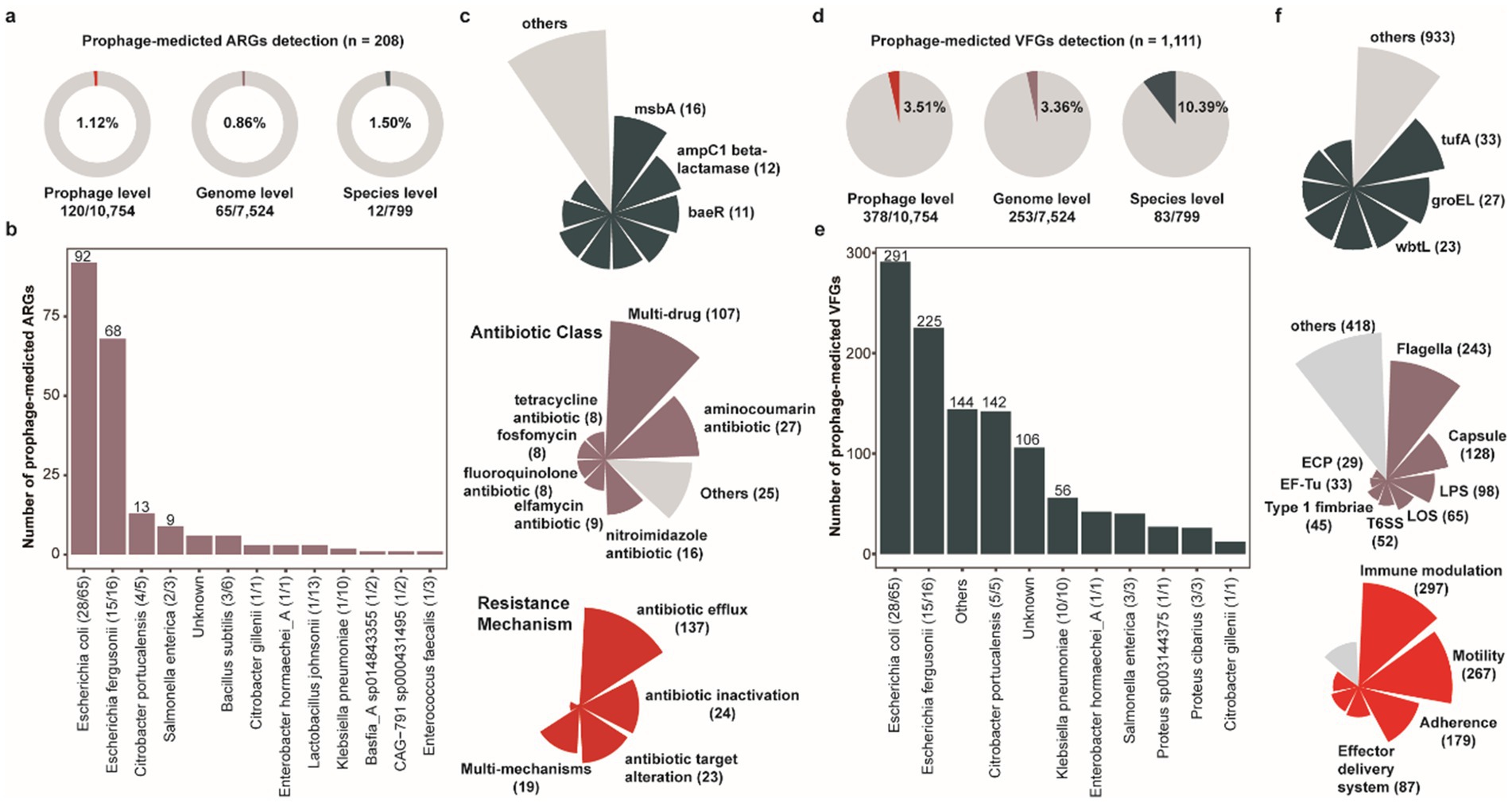 The image contains several charts and graphs related to prophage-mediated detection of antibiotic resistance genes (ARGs) and virulence factors (VFGs). Part (a) shows three circular charts comparing the percentage detection at prophage, genome, and species levels. Part (b) features a bar chart displaying the number of prophage-mediated ARGs by bacterial species, highlighting Escherichia coli. Additional pie charts categorize ARGs by antibiotic class and resistance mechanism. Part (d) has smaller circular charts indicating percentage detection of VFGs. Part (e) presents a bar chart on the number of prophage-mediated VFGs by bacterial species, again focusing on Escherichia coli. Part (f) includes pie charts classifying VFGs by function and mechanism, showing categories like flagella and immune modulation.