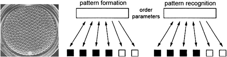 A circular pattern with hexagonal cells on the left, resembling a honeycomb structure. To the right, a diagram shows