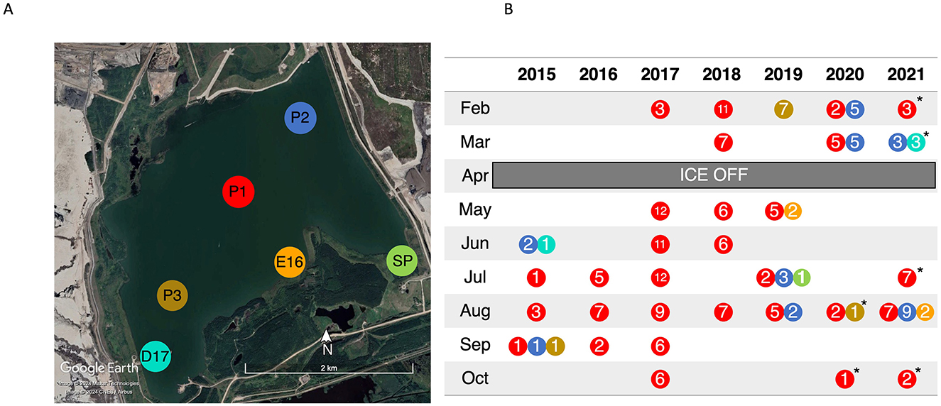 A satellite image of a lake with markers labeled P1, P2, P3, E16, D17, and SP, indicating specific locations. Adjacent is a data table spanning 2015 to 2021 showing monthly entries. Notable items include “ICE OFF” in April and circular indicators in various colors and numbers across different months, likely representing specific measurements or events. A north arrow and a two-kilometer scale are present on the map.