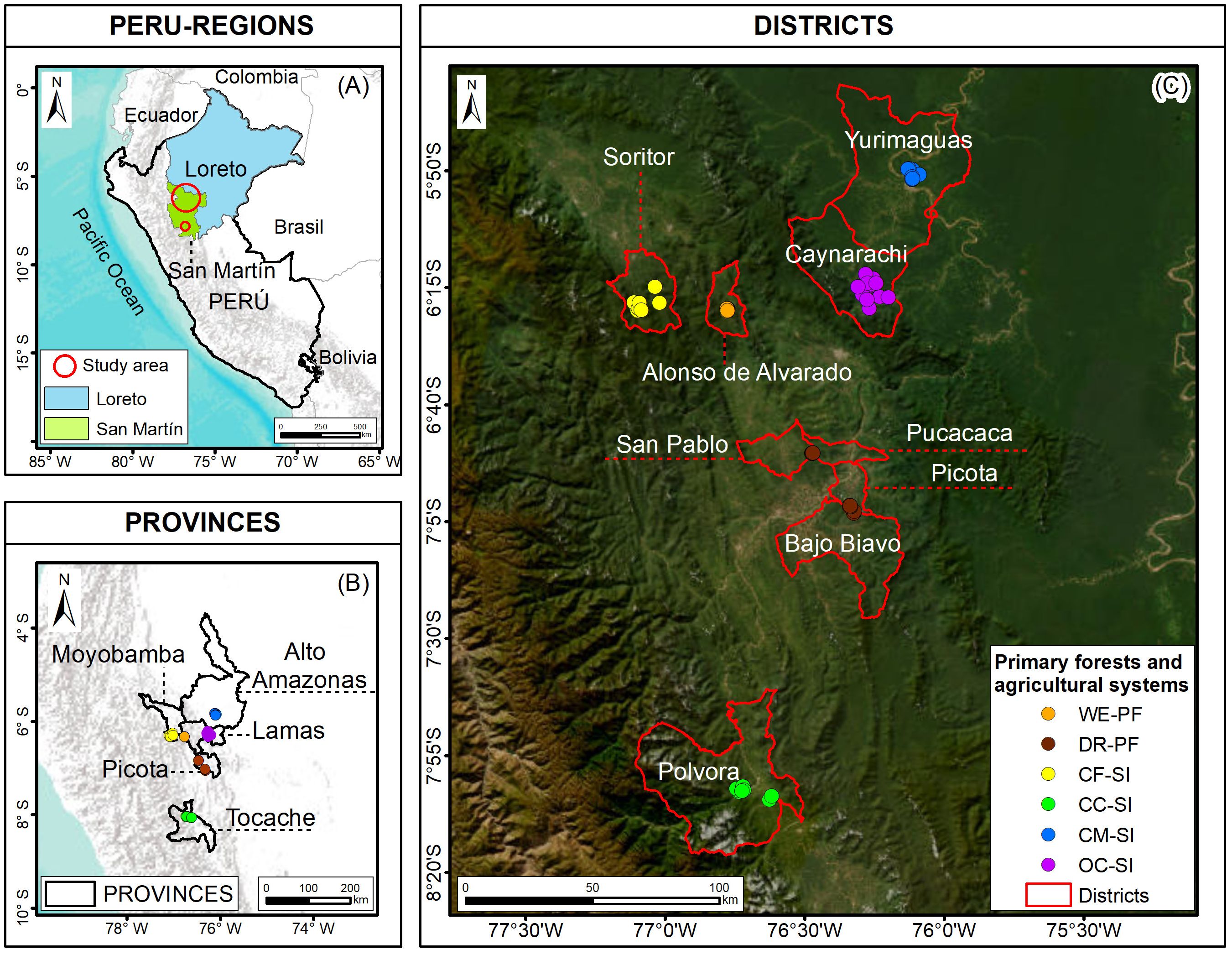 Map showing regions, provinces, and districts in the Peruvian Amazon. The left panel highlights the Loreto and San Martín regions, with a study area marked. The right panel details various districts with color-coded markers indicating primary forests and agricultural systems. A legend defines the symbols: WE-PF, DR-PF, CF-SI, CC-SI, CM-SI, OC-SI, and district boundaries in red.