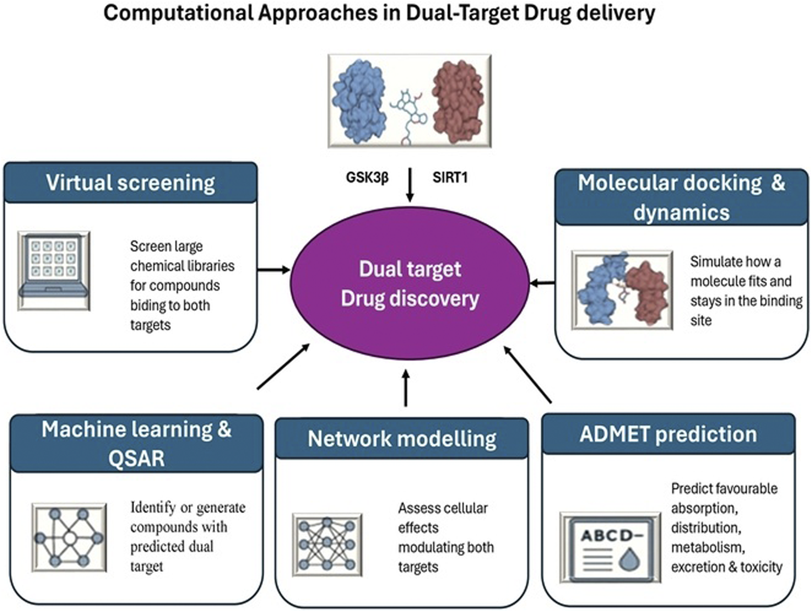 Diagram illustrating computational approaches in dual-target drug delivery. Central oval labeled "Dual target Drug discovery" connected to five boxes: "Virtual screening" (screen chemical libraries for compounds), "Molecular docking & dynamics" (simulate molecule binding), "Machine learning & QSAR" (identify predicted dual target compounds), "Network modelling" (assess effects on targets), and "ADMET prediction" (predict absorption and toxicity). Images of molecular structures are shown near the central oval.