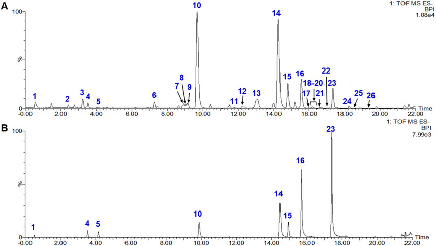 Two chromatograms labeled A and B display peak intensities over time in a Total Ion Chromatogram (TIC) analysis. Chart A shows numerous labeled peaks, with significant peaks at time points 10 and 14. Chart B also displays several peaks, with notable peaks at 10, 14, and 23. Both charts measure intensity percentage against retention time.