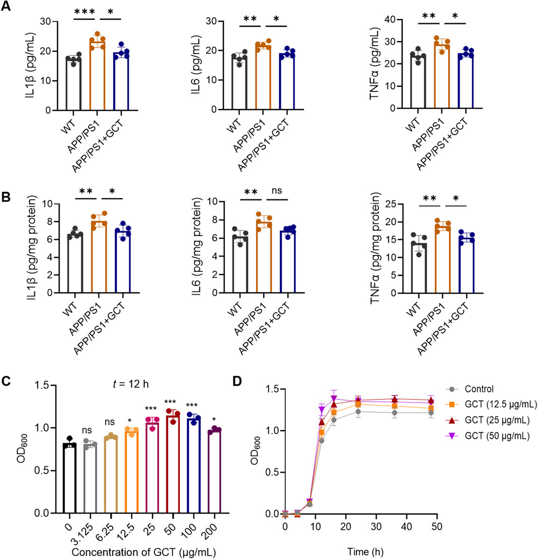 Four-panel bar chart and line graph comparing inflammatory cytokine levels and GCT effects. Panel A shows IL1β, IL6, and TNFα concentrations across WT, APP/PS1, and APP/PS1+GCT groups. Panel B presents cytokine levels per mg protein for the same groups. Panel C displays OD600 readings at 12 hours for various GCT concentrations. Panel D depicts OD600 values over 50 hours for control and GCT doses. Statistical significance is marked by asterisks.