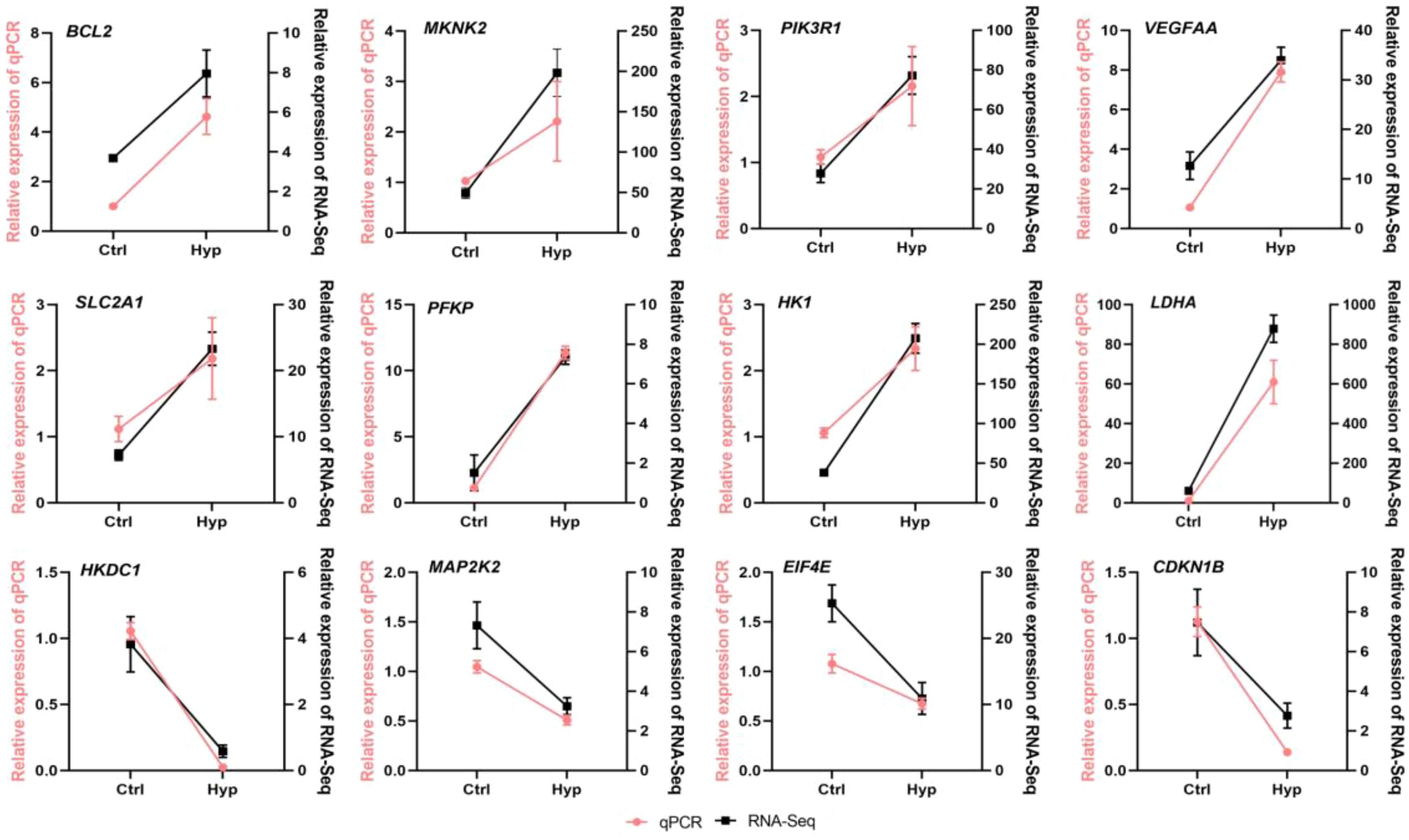 Twelve line graphs compare the relative expression of genes between control (Ctrl) and hypoxia (Hyp) conditions using qPCR and RNA-Seq methods. Each graph displays one gene: BCL2, MKNK2, PIK3R1, VEGFAA, SLC2A1, PFKP, HK1, LDHA, HKDC1, MAP2K2, EIF4E, and CDKN1B. Red lines represent qPCR and black lines represent RNA-Seq. Most genes show increased expression under hypoxia.