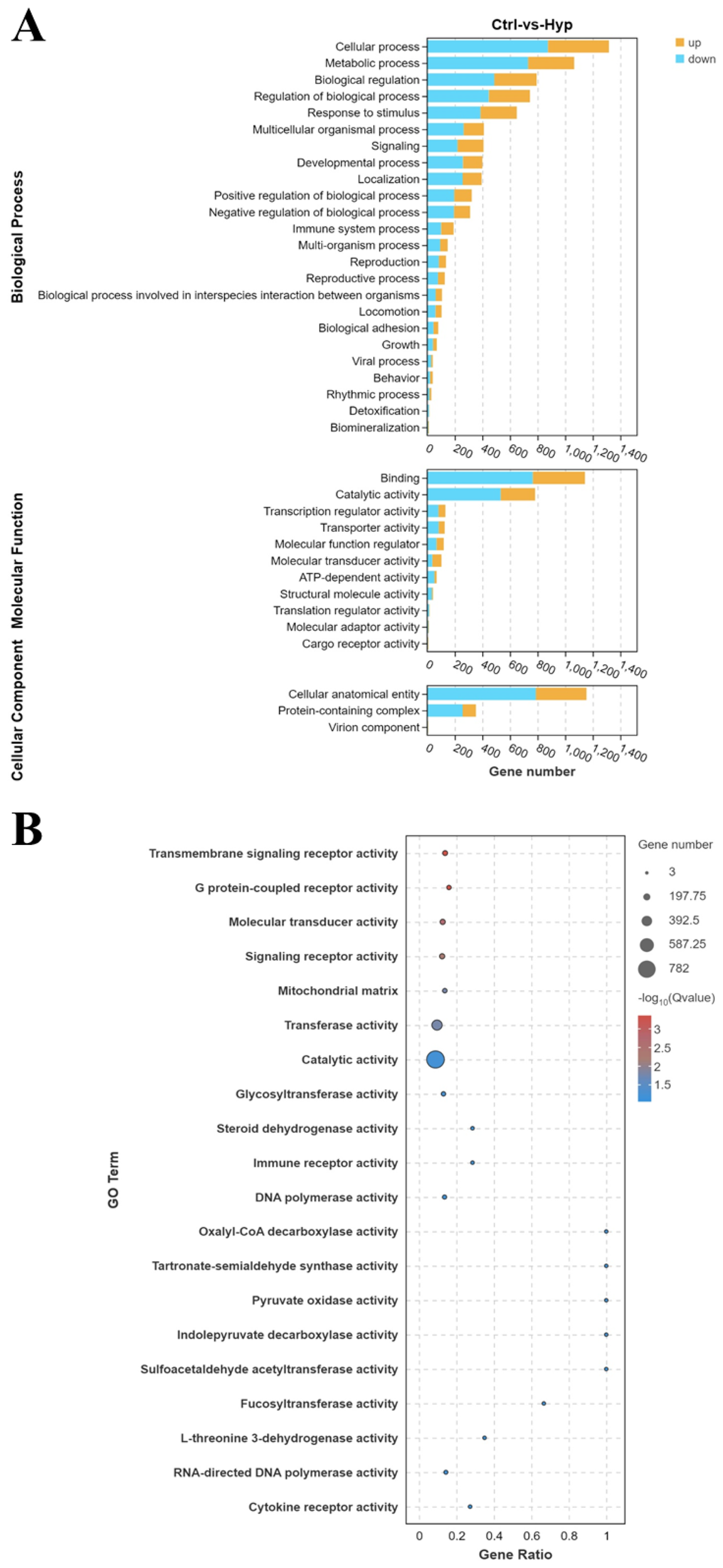 Panel A shows bar charts comparing gene numbers in various biological processes, molecular functions, and cellular components, highlighting upregulated and downregulated genes in control versus hypoxia groups. Panel B is a bubble plot depicting gene ratio and significance for different Gene Ontology (GO) terms, with bubble size indicating gene number and color showing significance levels.
