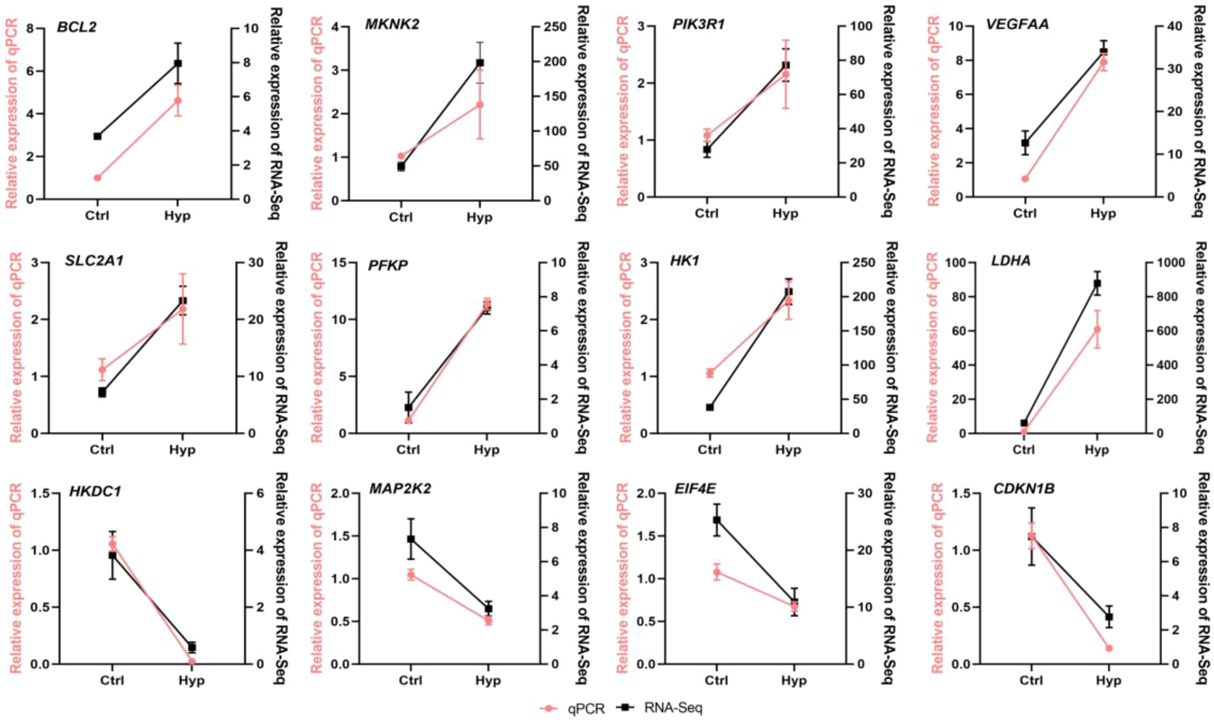 Twelve line graphs compare the relative expression of genes between control (Ctrl) and hypoxia (Hyp) conditions using qPCR and RNA-Seq methods. Each graph displays one gene: BCL2, MKNK2, PIK3R1, VEGFAA, SLC2A1, PFKP, HK1, LDHA, HKDC1, MAP2K2, EIF4E, and CDKN1B. Red lines represent qPCR and black lines represent RNA-Seq. Most genes show increased expression under hypoxia.