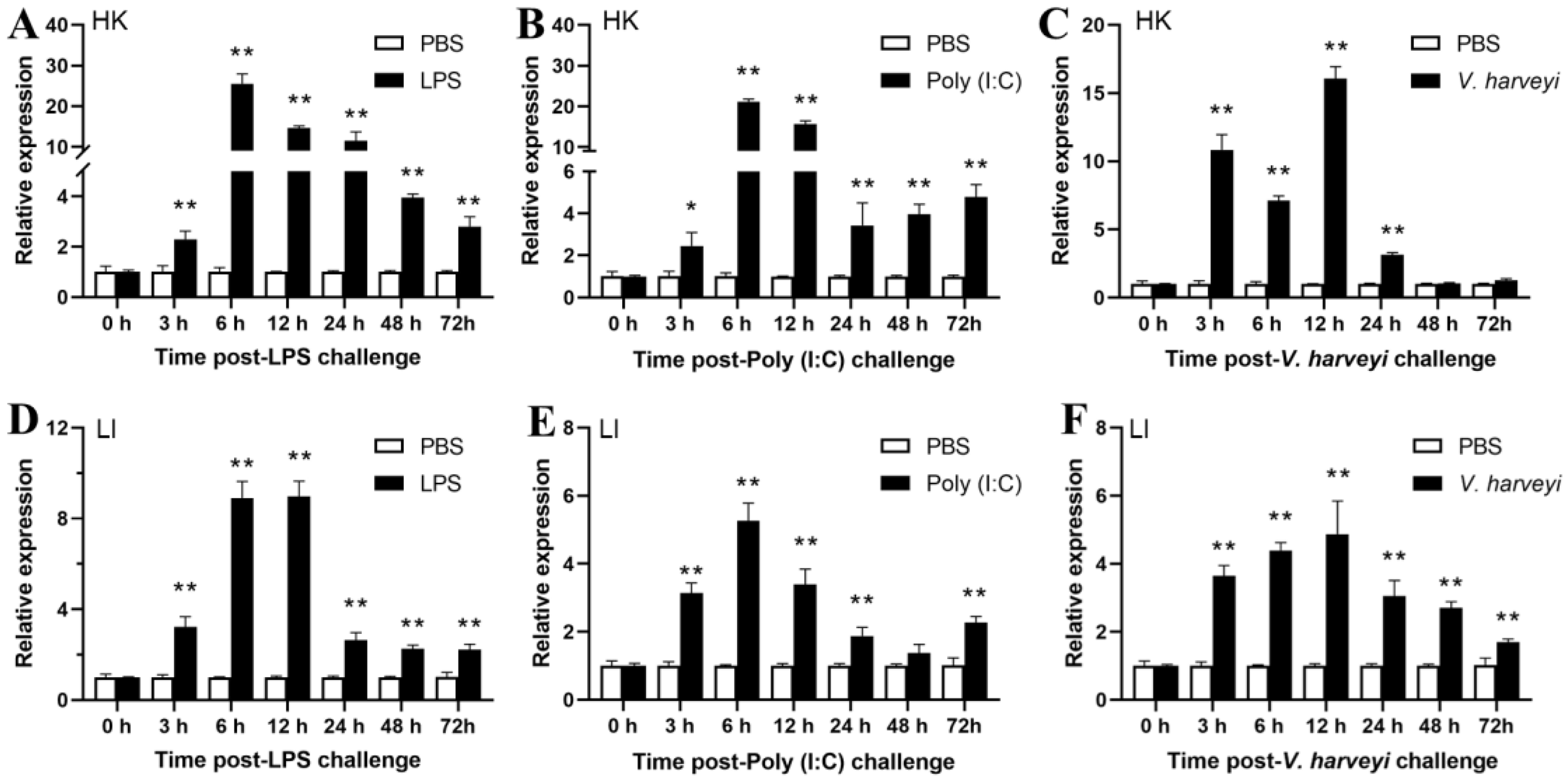 Graphs depicting relative expression changes over time following various challenges. Panels A-C represent HK samples, while D-F are for LI samples. Each panel shows time points from zero to seventy-two hours. White bars indicate PBS controls, black bars represent treatment groups: LPS, Poly (I:C), and *V. harveyi*. Significant increases in expression are marked, particularly at six and twelve hours post-challenge.