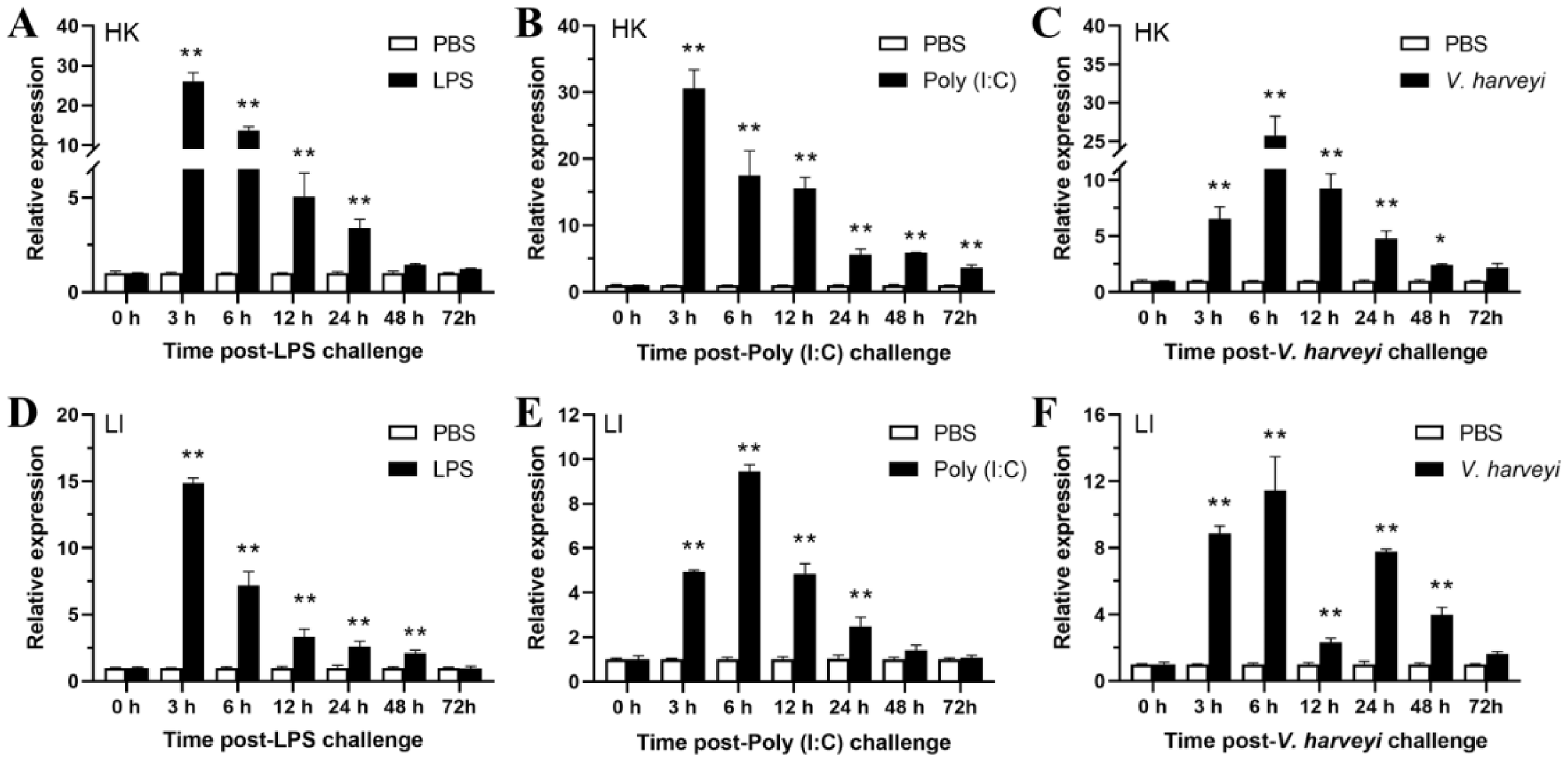 Graphs A to F depict relative gene expression in different experimental setups over time. Each graph compares two conditions: a control (PBS) and a treatment (LPS, Poly (I:C), or V. harveyi) at various time points post-challenge (0 to 72 hours). Expression levels are higher with treatment compared to the control, especially at earlier time points. Statistical significance is marked by asterisks.