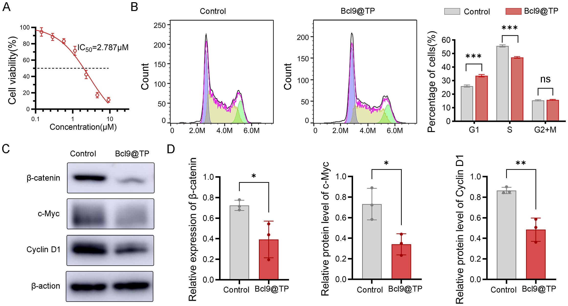 Graphical data depicting the effects of Bcl9@TP on cell viability and protein expression. A) Concentration-response curve indicating IC50 at 2.787 µM. B) Flow cytometry histograms and bar graph display cell cycle distribution differences, with significant variations in G1 and S phases (marked by asterisks). C) Western blot analysis showing reduced expression of β-catenin, c-Myc, and Cyclin D1 proteins in Bcl9@TP treated samples compared to control. D) Bar graphs illustrating statistically significant decreases in β-catenin, c-Myc, and Cyclin D1 protein levels in treated cells, with marked significance levels.