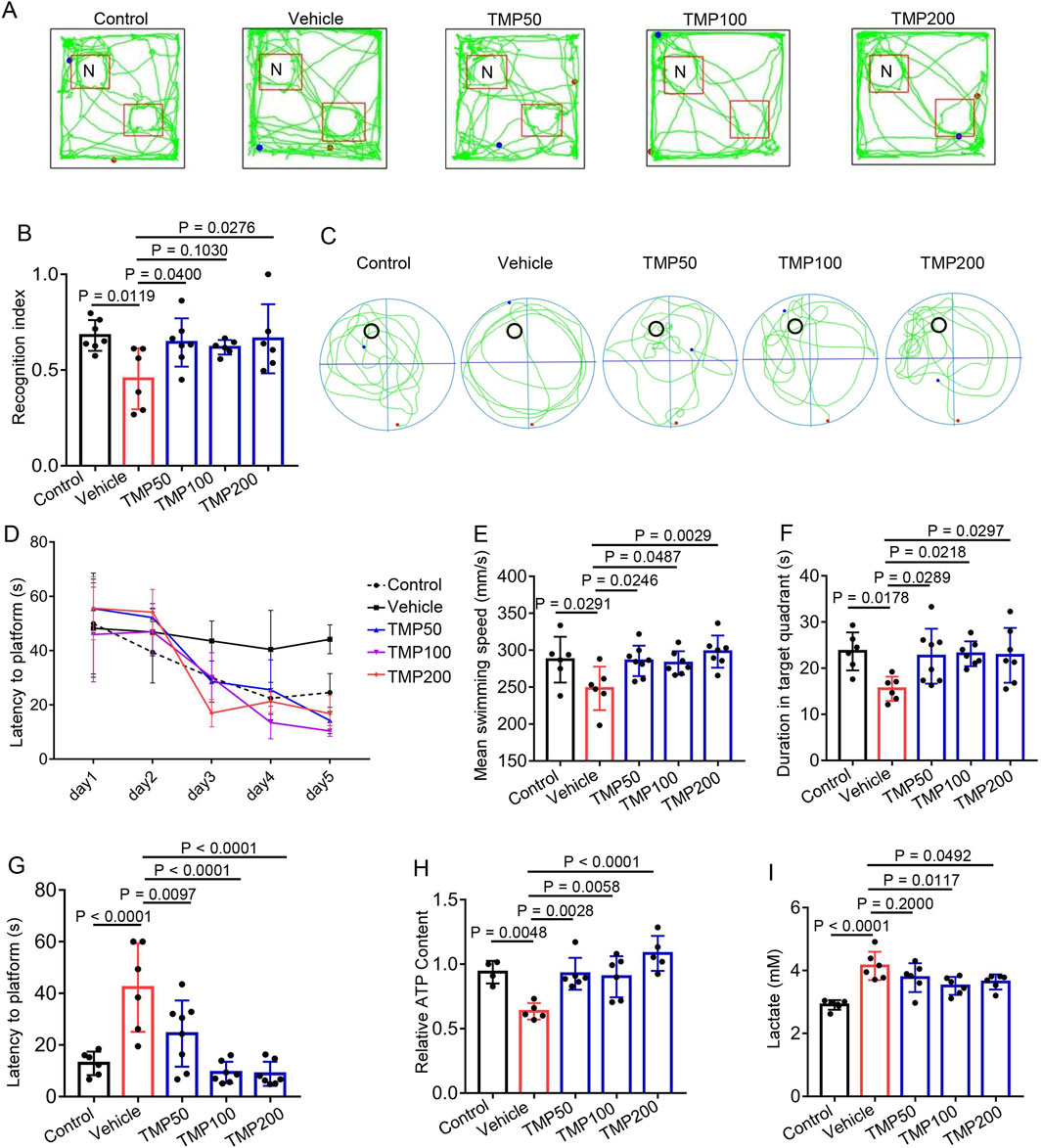A series of scientific charts and graphs illustrate experimental results comparing control, vehicle, and TMP-treated groups (TMP50, TMP100, TMP200). Panel A shows path traces in a navigation test. B displays a bar graph of recognition index values showing statistical significance with P-values. C features circular path diagrams. D is a line graph of latency to platform over days. E and F are bar graphs of mean swimming speed and duration in target quadrant, respectively. G shows latency to platform, H indicates relative ATP content, and I shows lactate (mM) levels, each with statistical significance noted.