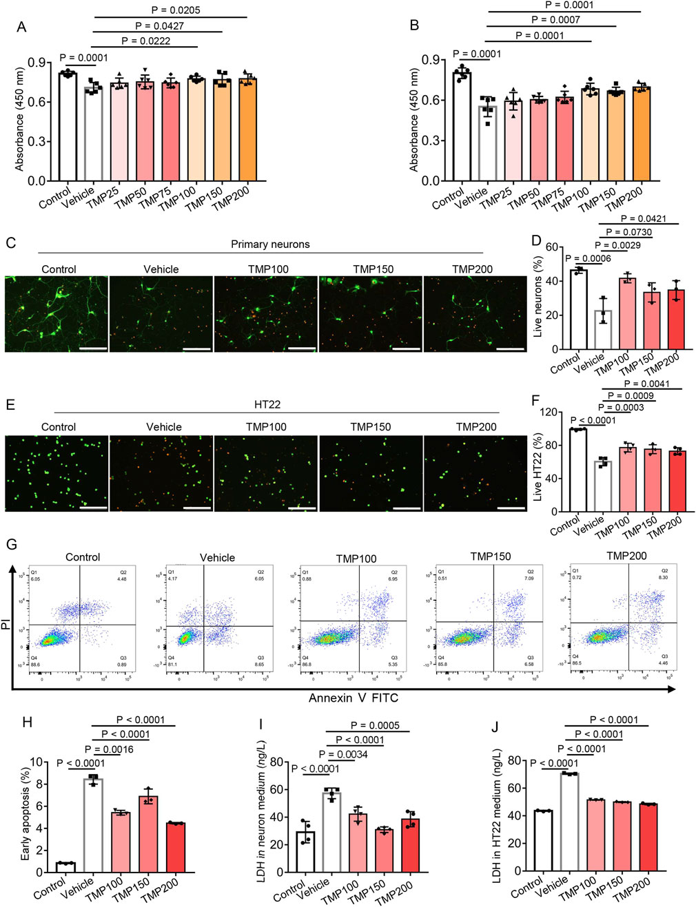 Graphs and images show the effects of varying TMP concentrations on cell viability and apoptosis. Panels A and B display bar graphs of absorbance at four hundred fifty nanometers for different TMP doses, with statistical significance indicated. Panel C contains fluorescence microscopy images of primary neurons under different conditions, while panel D graphs neuron survival percentages. Panel E shows fluorescence images of HT22 cells, with panel F presenting their viability data. Panel G includes flow cytometry plots for apoptosis analysis. Panels H to J show bar graphs for early apoptosis and lactate dehydrogenase levels in neuron and HT22 mediums.