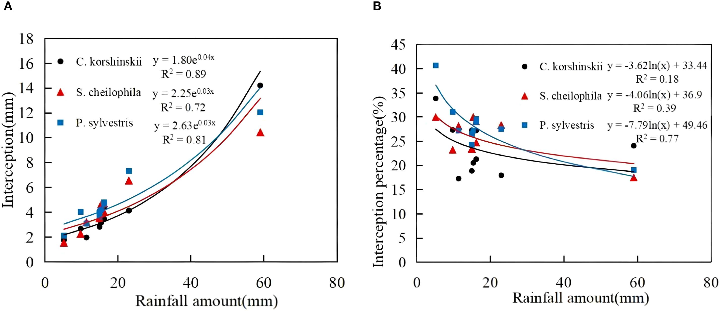 Graphs A and B illustrate rainfall interception data for three species: C. korshinskii, S. cheilophila, and P. sylvestris. Graph A shows the relationship between rainfall amount and interception in millimeters, with exponential trendlines. Graph B presents interception percentage versus rainfall amount, with logarithmic trendlines. Each species is represented by different symbols: C. korshinskii by black circles, S. cheilophila by red triangles, and P. sylvestris by blue squares. Various equations and R-squared values are displayed, indicating the fit of the models to the data.