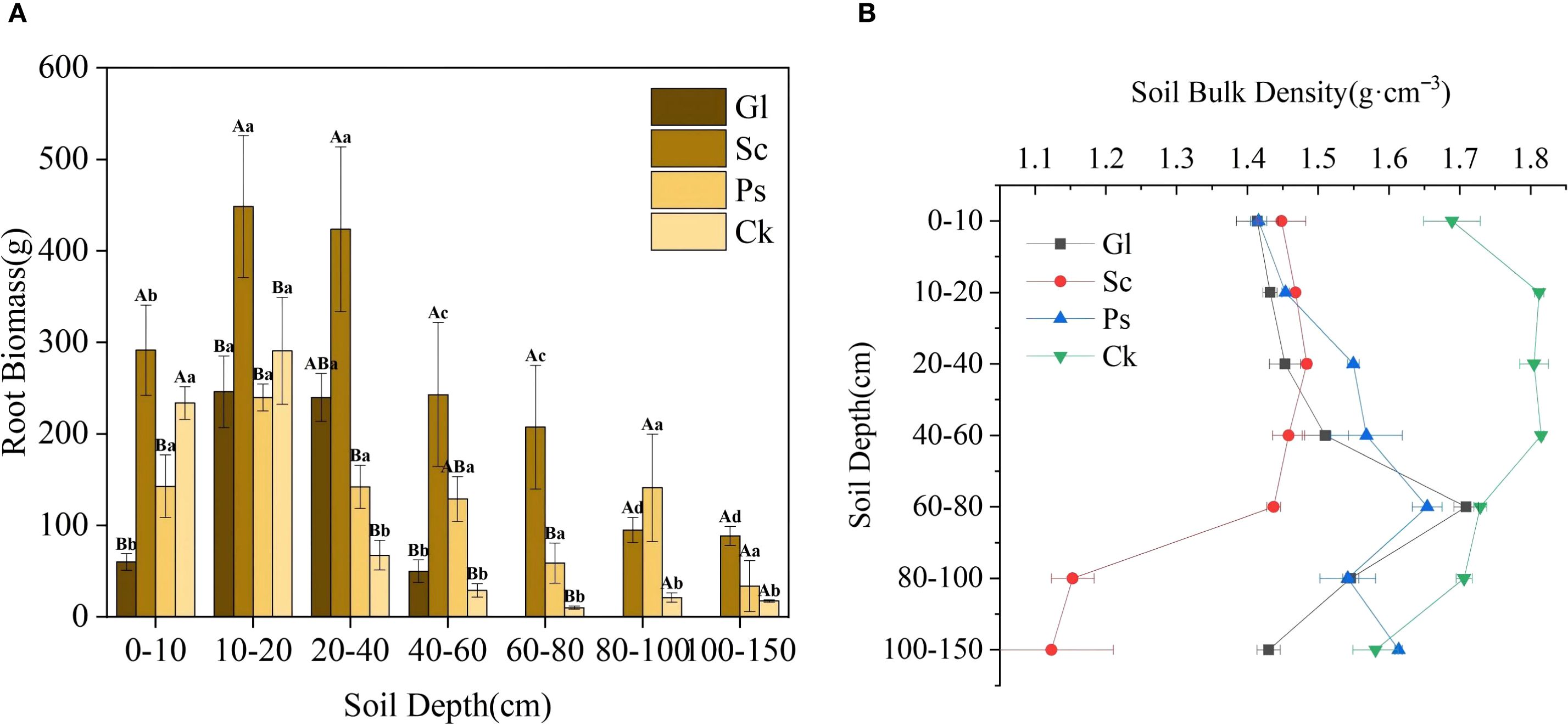 Two-part data visualization. Panel A: Bar chart showing root biomass (grams) across soil depths (centimeters) for four conditions (Gl, Sc, Ps, Ck) with color-coded bars, ranging from 0 to 600 grams. Panel B: Line graph depicting soil bulk density (grams per cubic centimeter) across soil depths for the same conditions, featuring lines with different symbols for each condition.
