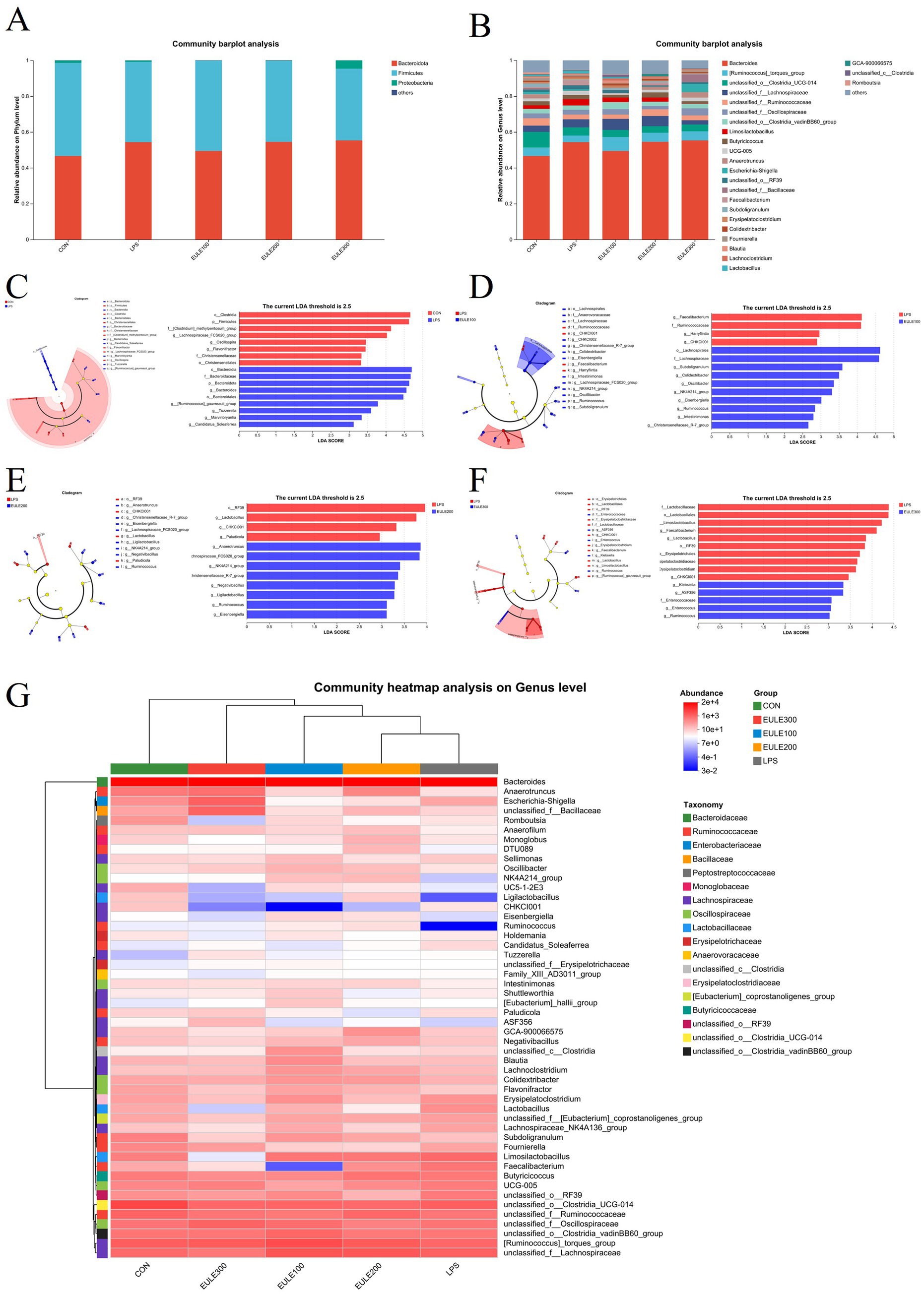 Multiple charts and graphs depict community analysis in a scientific study. Chart A shows a bar plot of relative abundance of bacterial phyla. Chart B presents a stacked bar plot analysis including specific bacterial groups. Charts C through F include cladograms and bar plots with Linear Discriminant Analysis (LDA) scores indicating differential bacterial abundance between groups. Chart G is a heatmap representing community analysis at the genus level, showing varying abundances among different groups. Each chart uses specific colors for clarity and distinction of data categories.