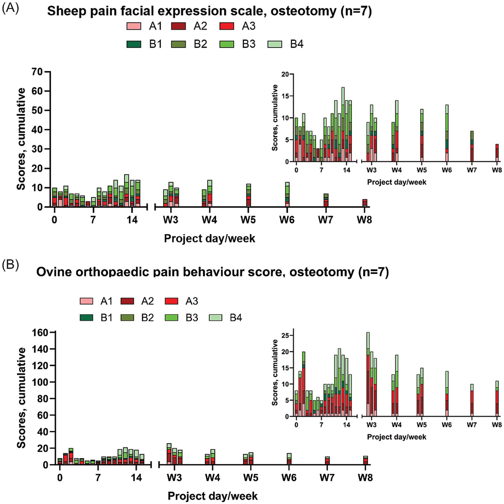 Bar charts displaying cumulative scores over time for sheep osteotomy pain assessment. Chart (A) shows the sheep pain facial expression scale, while chart (B) shows the ovine orthopaedic pain behaviour score. Each chart has different color-coded bars labeled A1 to A3 and B1 to B4, representing data sets across multiple project days or weeks. Insets provide detailed score views for early project days.