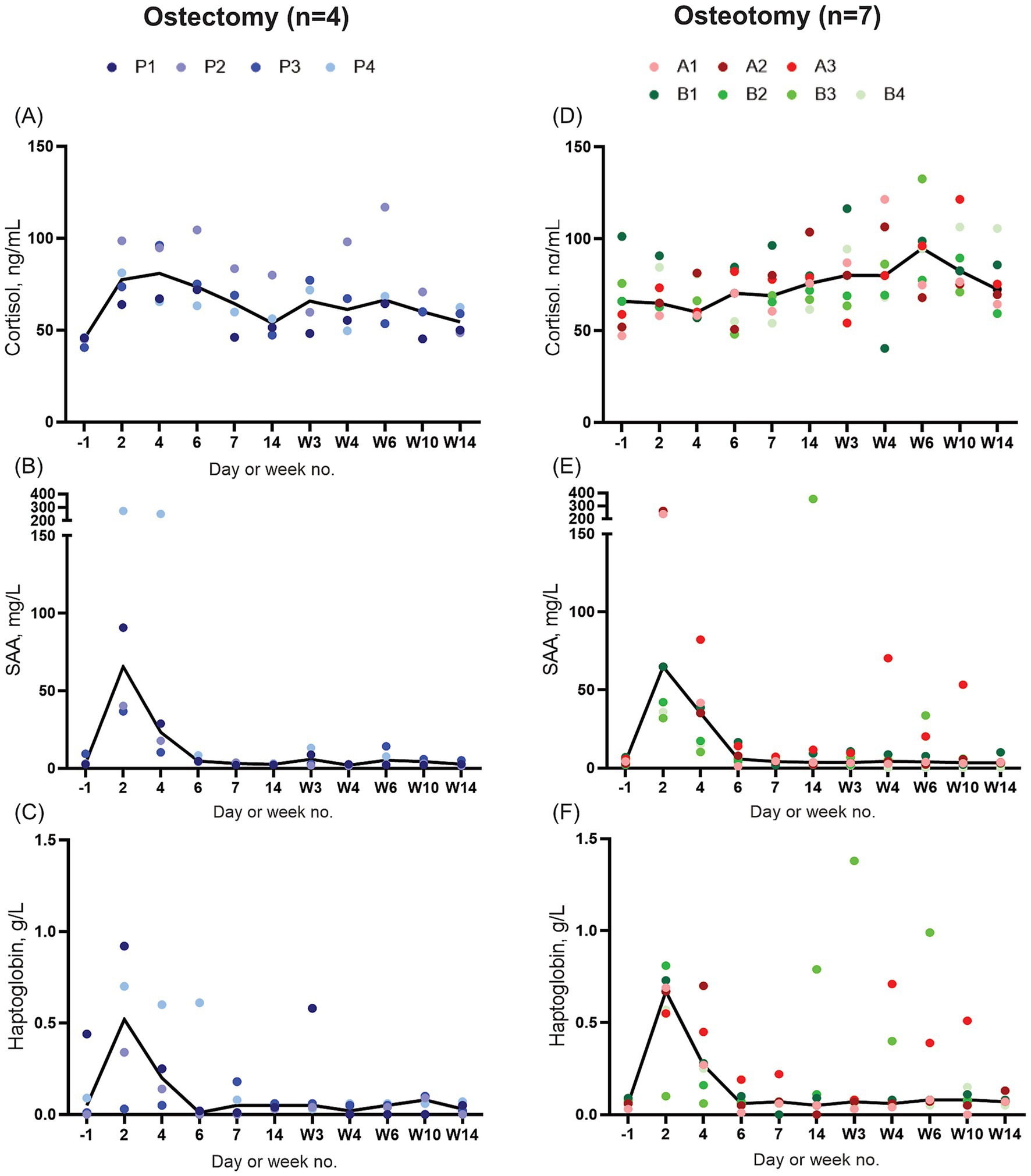 Graphs compare cortisol, SAA, and haptoglobin levels over time for two groups: ostectomy (n=4) and osteotomy (n=7). Panels (A), (B), and (C) show data for ostectomy, using shades of blue. Panels (D), (E), and (F) represent osteotomy, using red and green. Cortisol levels fluctuate, while SAA and haptoglobin peak early, then stabilize.