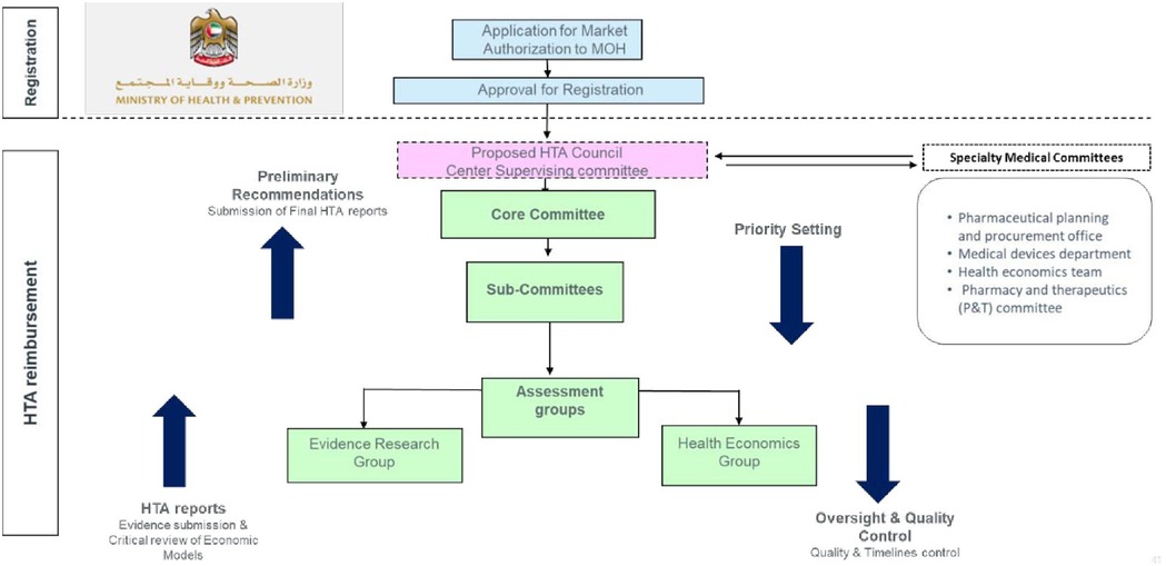Flowchart illustrating the Health Technology Assessment (HTA) process in the Ministry of Health and Prevention. It shows steps from application for market authorization, through proposed committees and subcommittees, to final HTA reports. Specialty medical committees include various offices and departments related to pharmaceuticals, medical devices, health economics, and pharmacy. Arrows indicate the flow and interaction between different groups, including oversight and quality control.