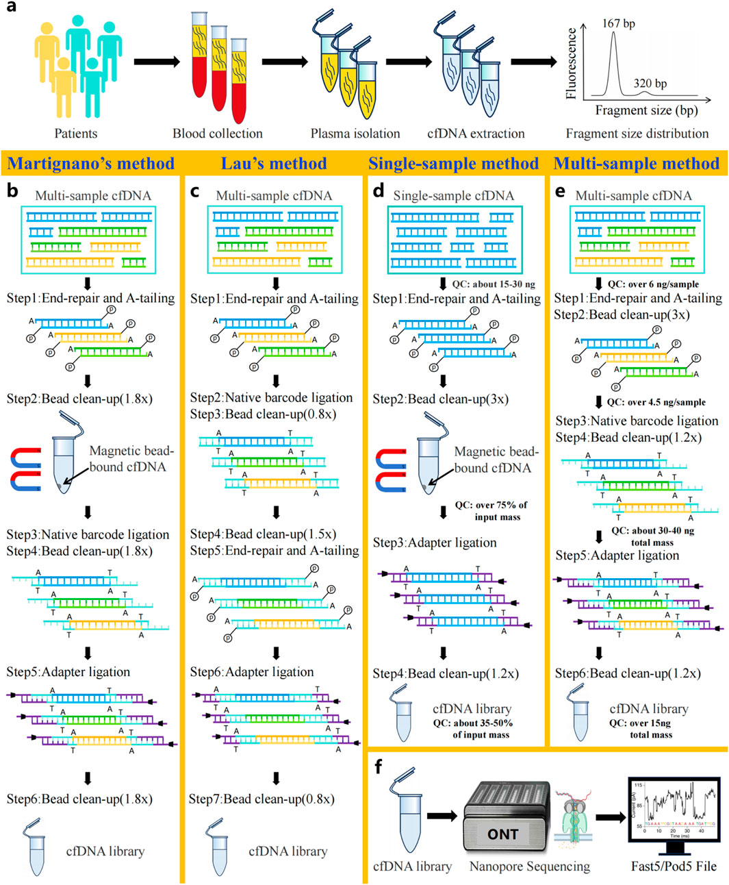 Diagram illustrating various cfDNA sequencing methods. Panel (a) shows the process flow from patients to cfDNA extraction and fragment size distribution. Panels (b) to (e) compare four methods: Martignano’s, Lau’s, single-sample, and multi-sample methods, detailing steps like end-repair, bead clean-up, and adapter ligation. Panel (f) depicts the final cfDNA library preparation for nanopore sequencing, resulting in a Fast5/Pod5 file. Each method outlines specific quality control measures and sample requirements.