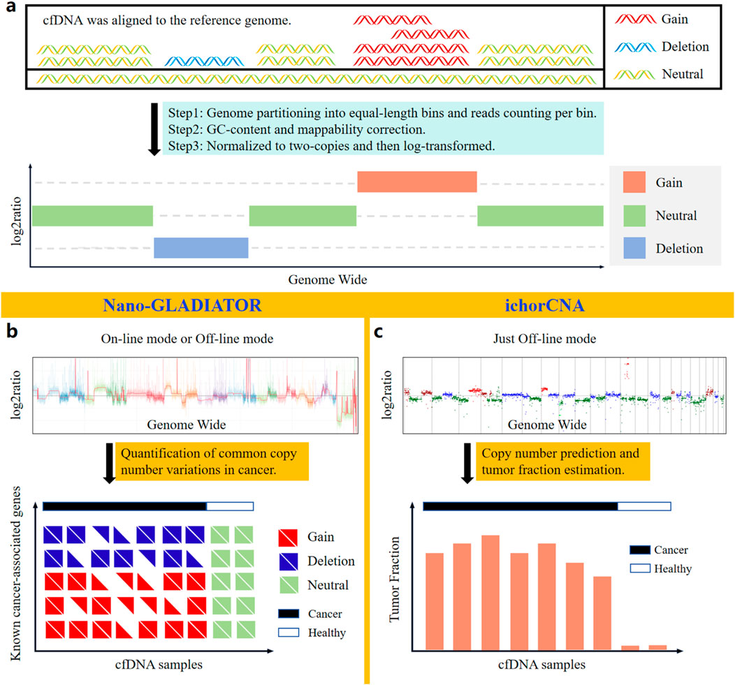 A three-panel illustration comparing cfDNA analysis methods: (a) An explanation of cfDNA alignment and classification into gain, deletion, and neutral categories with steps for processing genomic data. (b) Nano-GLADIATOR's on-line or off-line mode showing a log2 ratio graph and a quantification chart of copy number variations across cfDNA samples, highlighting known cancer-associated genes. (c) ichorCNA's off-line mode displaying a log2 ratio graph and a chart for predicting copy number and estimating tumor fraction in cfDNA samples, categorized into cancer and healthy.