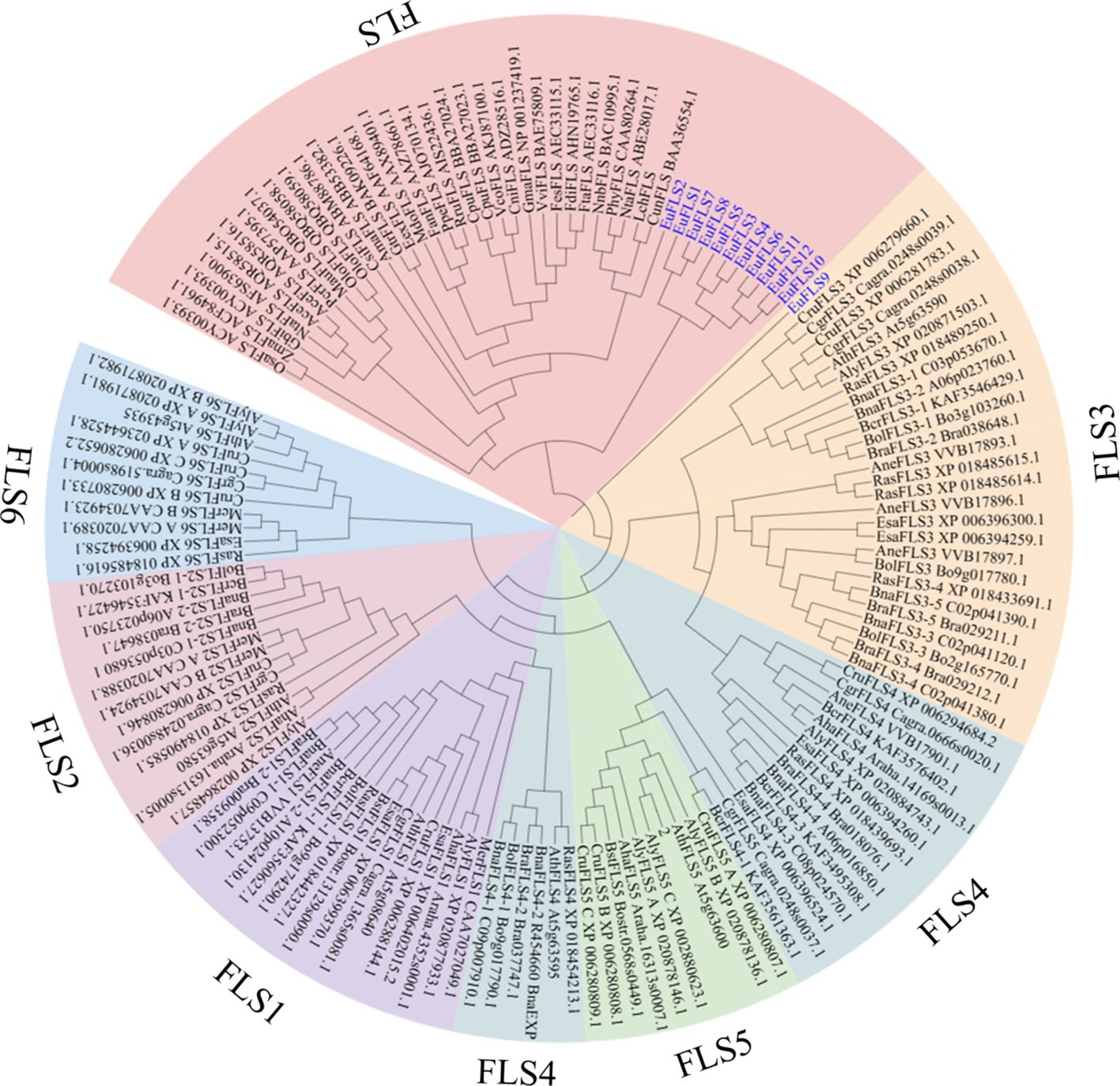 Circular phylogenetic tree showing six clusters labeled FLS1 to FLS6, each in different colors. The tree depicts relationships among various genetic sequences, with identifiers around the circle's perimeter.