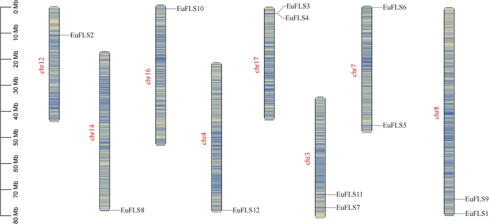 Diagram depicting several chromosomes labeled chr3, chr4, chr7, chr8, chr12, chr14, chr16, and chr17. Each chromosome is marked with specific EuFLS gene locations, such as EuFLS2 on chr12 and EuFLS10 on chr16. Gene locations are indicated with lines pointing to their respective positions on the chromosomes.