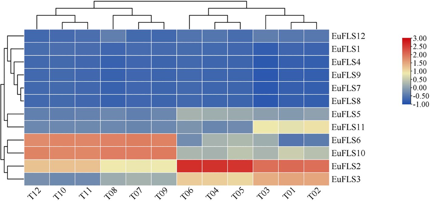 Clustered heatmap with hierarchical dendrogram. Rows labeled EuFLS1 to EuFLS12 and columns labeled T01 to T12. Color scale ranges from blue for low values to red for high values, indicating data differences.