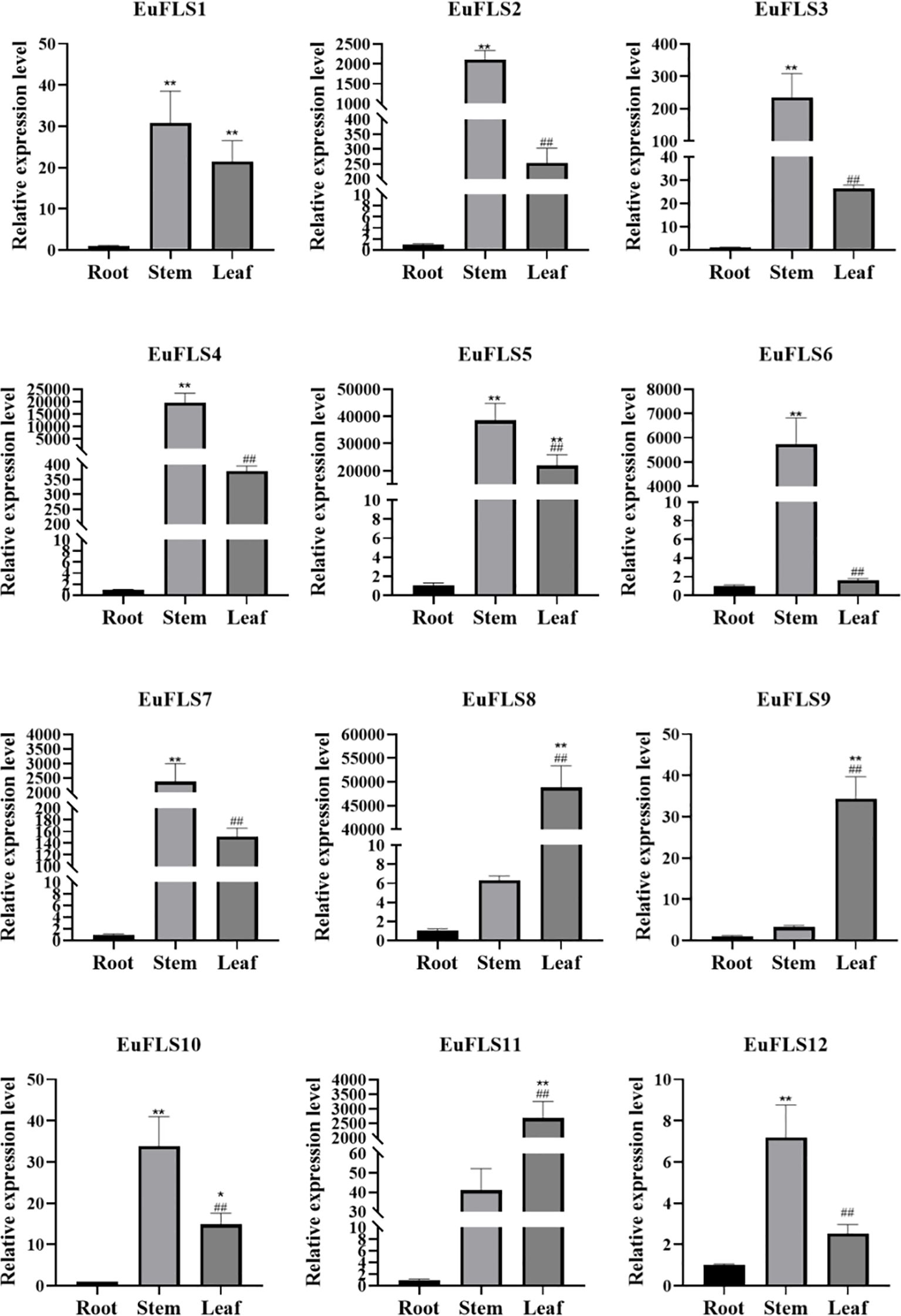 Bar charts showing the relative expression levels of EuFLS1 to EuFLS12 in root, stem, and leaf samples. Each graph depicts variations in expression, with higher levels generally observed in stems and leaves compared to roots. Statistical significance is indicated with asterisks for different expression levels among tissues.