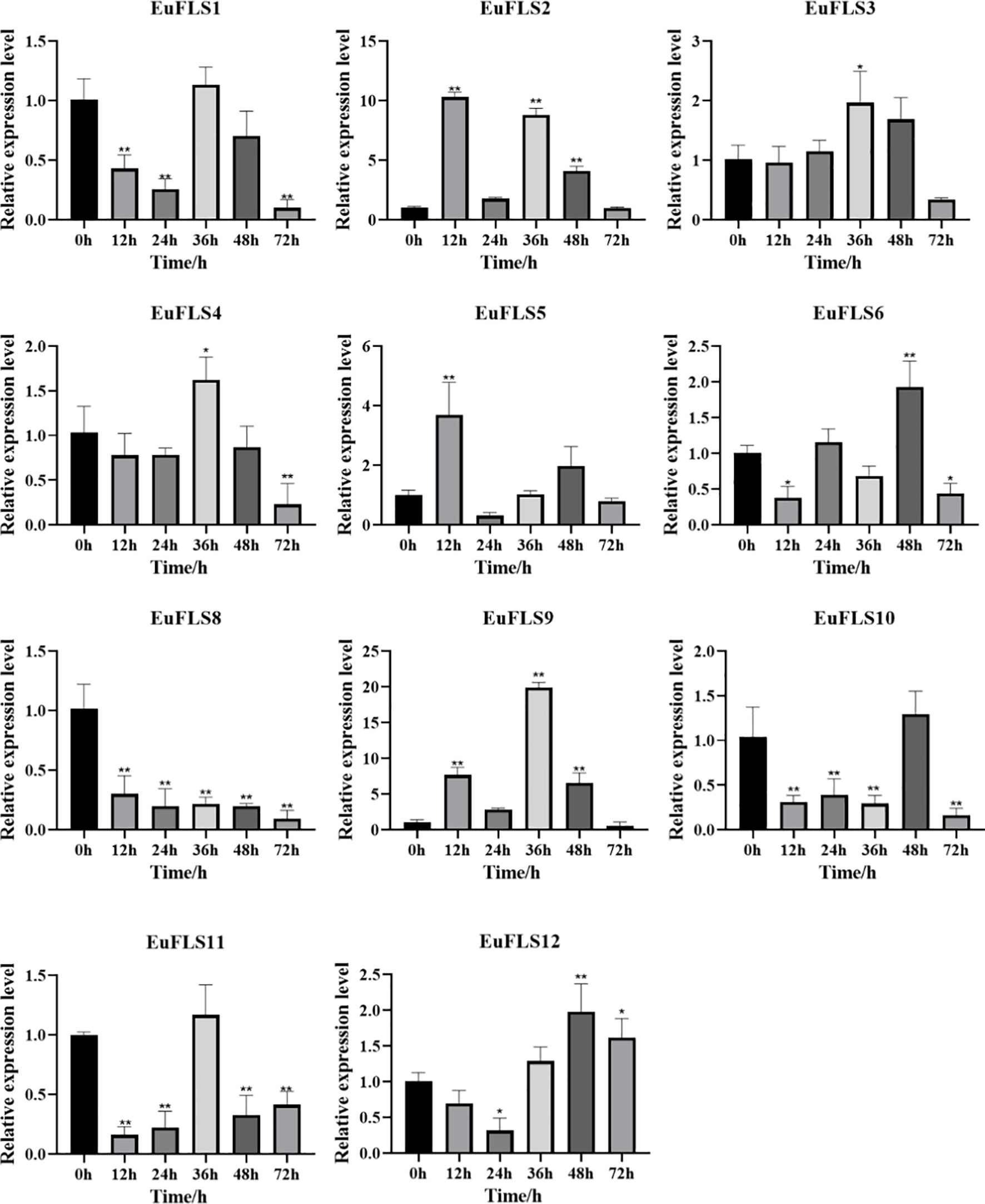 Twelve bar graphs show the relative expression levels of EuFLS genes (EuFLS1 to EuFLS12) at time intervals of 0, 12, 24, 36, 48, and 72 hours. Each graph displays varying expression levels, with peaks at different times. Significance is indicated by asterisks.
