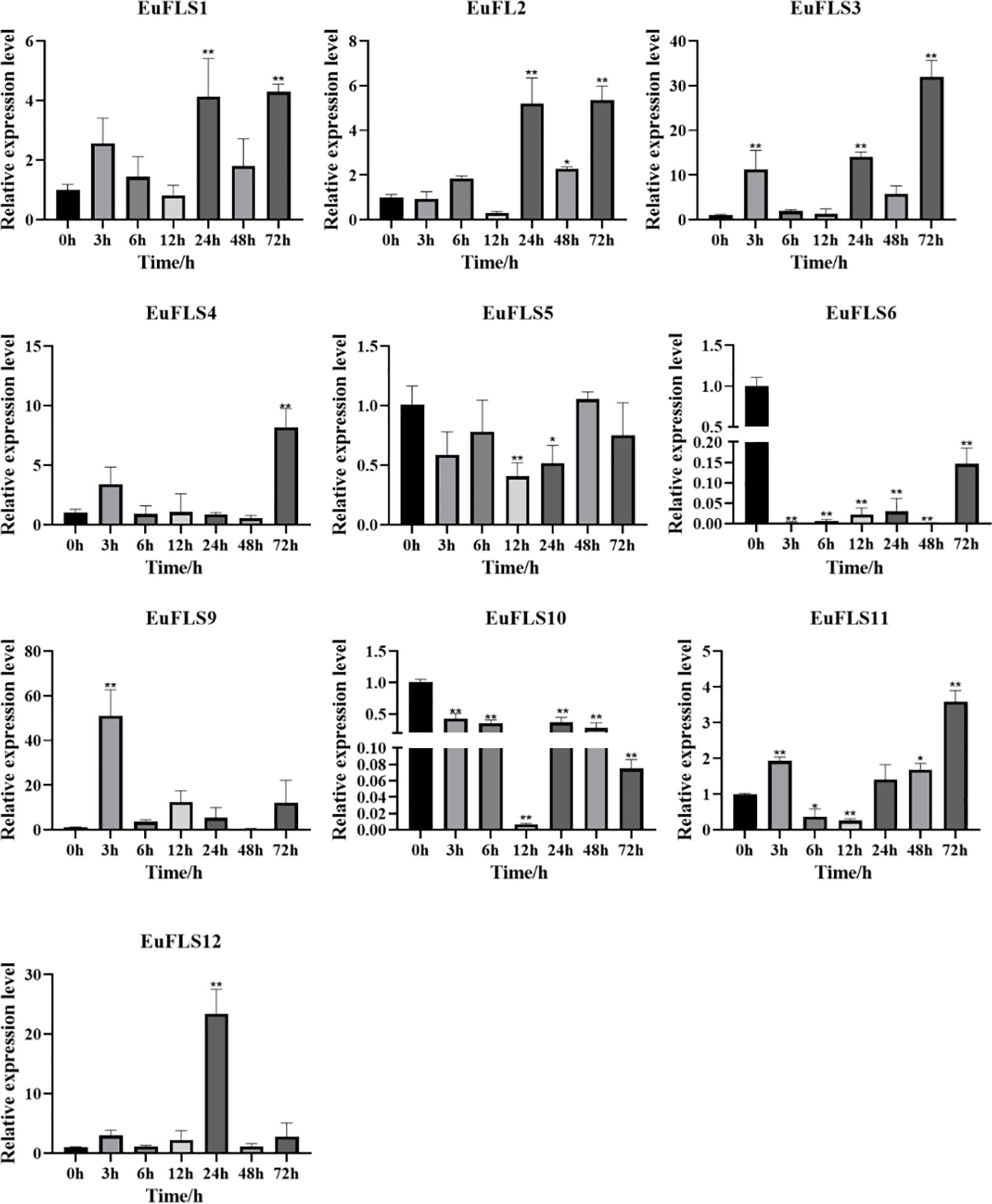 Bar graphs display relative expression levels of EuFLS genes over time intervals: 0, 3, 6, 12, 24, 48, and 72 hours. EuFLS1, EuFLS2, EuFLS3, EuFLS4, EuFLS9, EuFLS11, and EuFLS12 show increased expression at 72 hours. EuFLS5 remains stable, while EuFLS6 and EuFLS10 show initial high expression followed by a decrease. Statistical significance is indicated with asterisks.