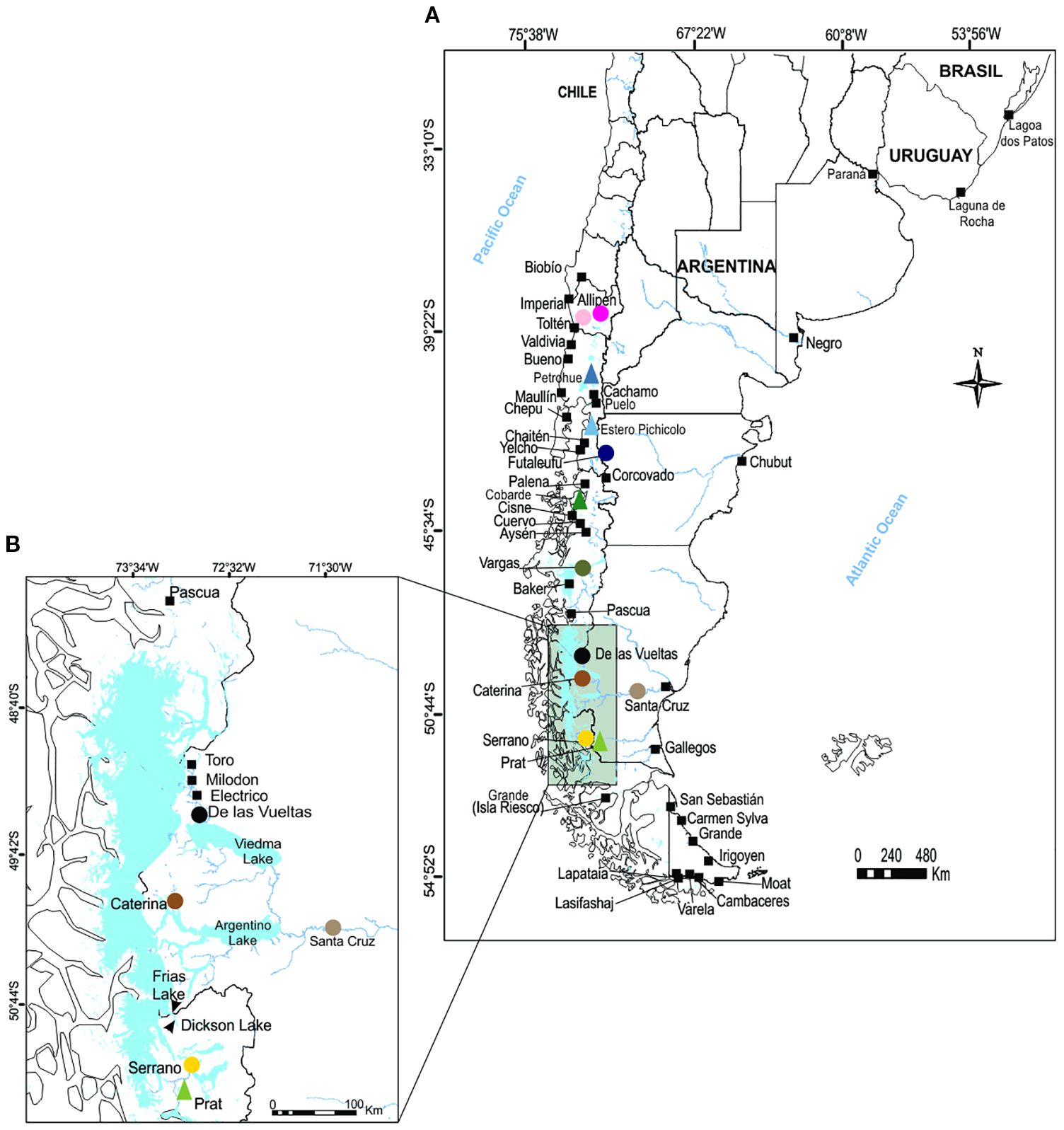 Map of southern South America highlighting various river basins in Chile and Argentina. Panel A shows the geographical distribution from Bio Bío to Tierra del Fuego, indicating rivers like Allipén and Baker. Panel B magnifies the region around the De las Vueltas basin, detailing lakes and specific areas like Lake Argentino and Viedma Lake. Major rivers and lakes are labeled, with colored markers representing different locations. A scale bar is present for distance measurement.