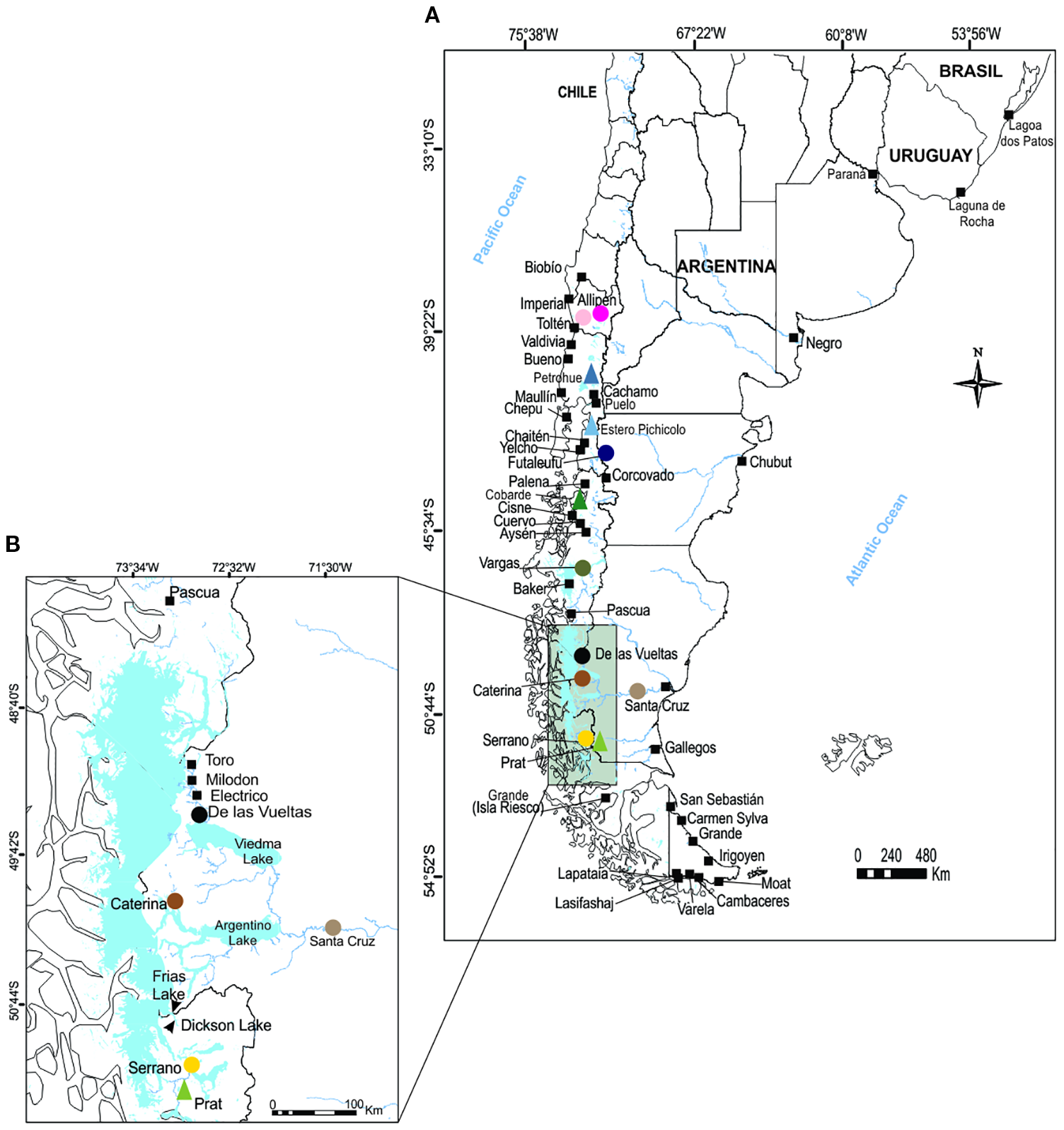 Map of southern South America highlighting various river basins in Chile and Argentina. Panel A shows the geographical distribution from Bio Bío to Tierra del Fuego, indicating rivers like Allipén and Baker. Panel B magnifies the region around the De las Vueltas basin, detailing lakes and specific areas like Lake Argentino and Viedma Lake. Major rivers and lakes are labeled, with colored markers representing different locations. A scale bar is present for distance measurement.