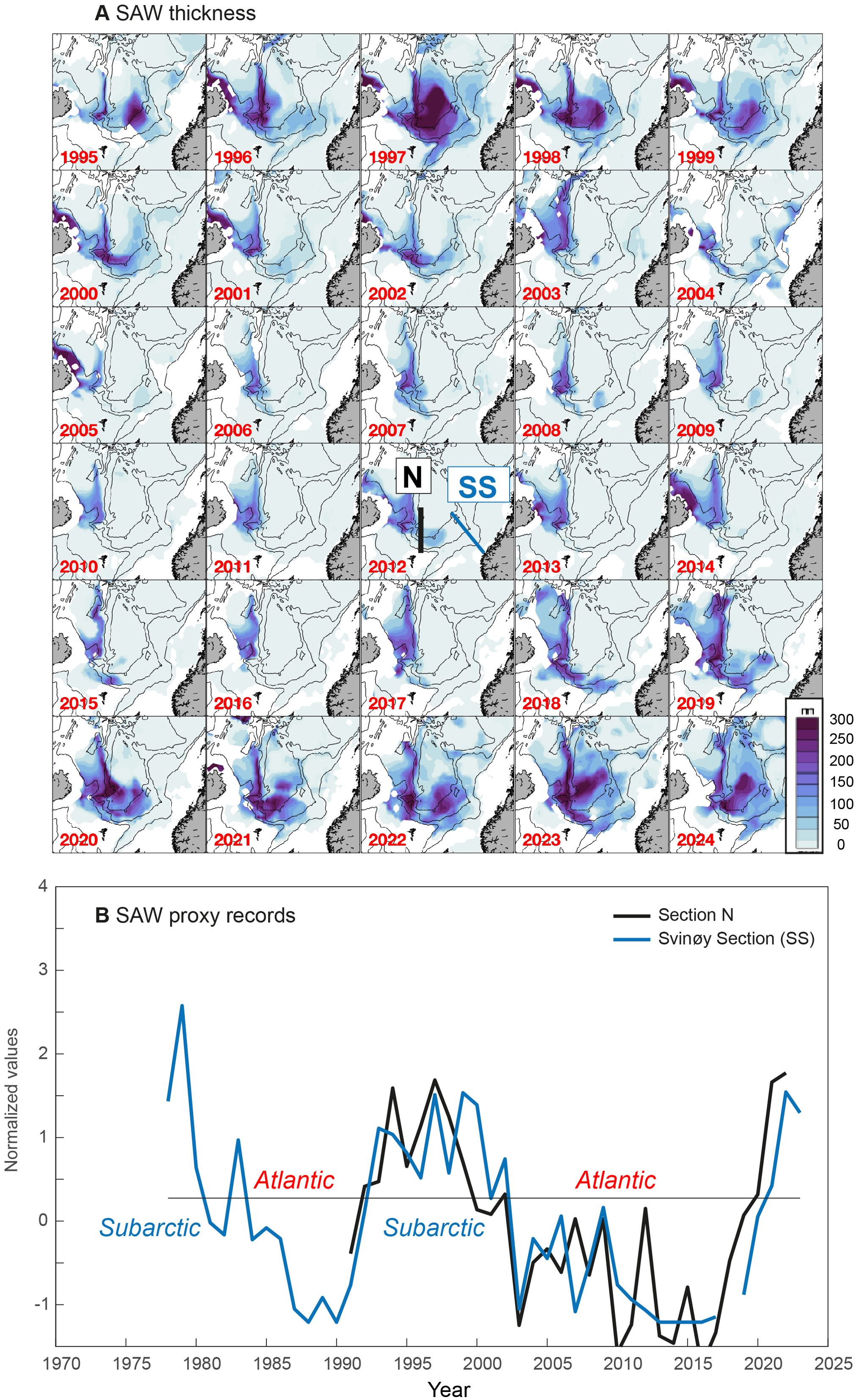 Panel A consists of multiple maps showing SAW (Subarctic Atlantic Water) thickness from 1995 to 2024, with variations indicated in different shades of blue to purple. Panel B is a line graph illustrating SAW proxy records over time from 1970 to 2025, with two lines representing Section N (black) and Svinøy Section (SS) (blue). Subarctic and Atlantic phases are marked on the graph.