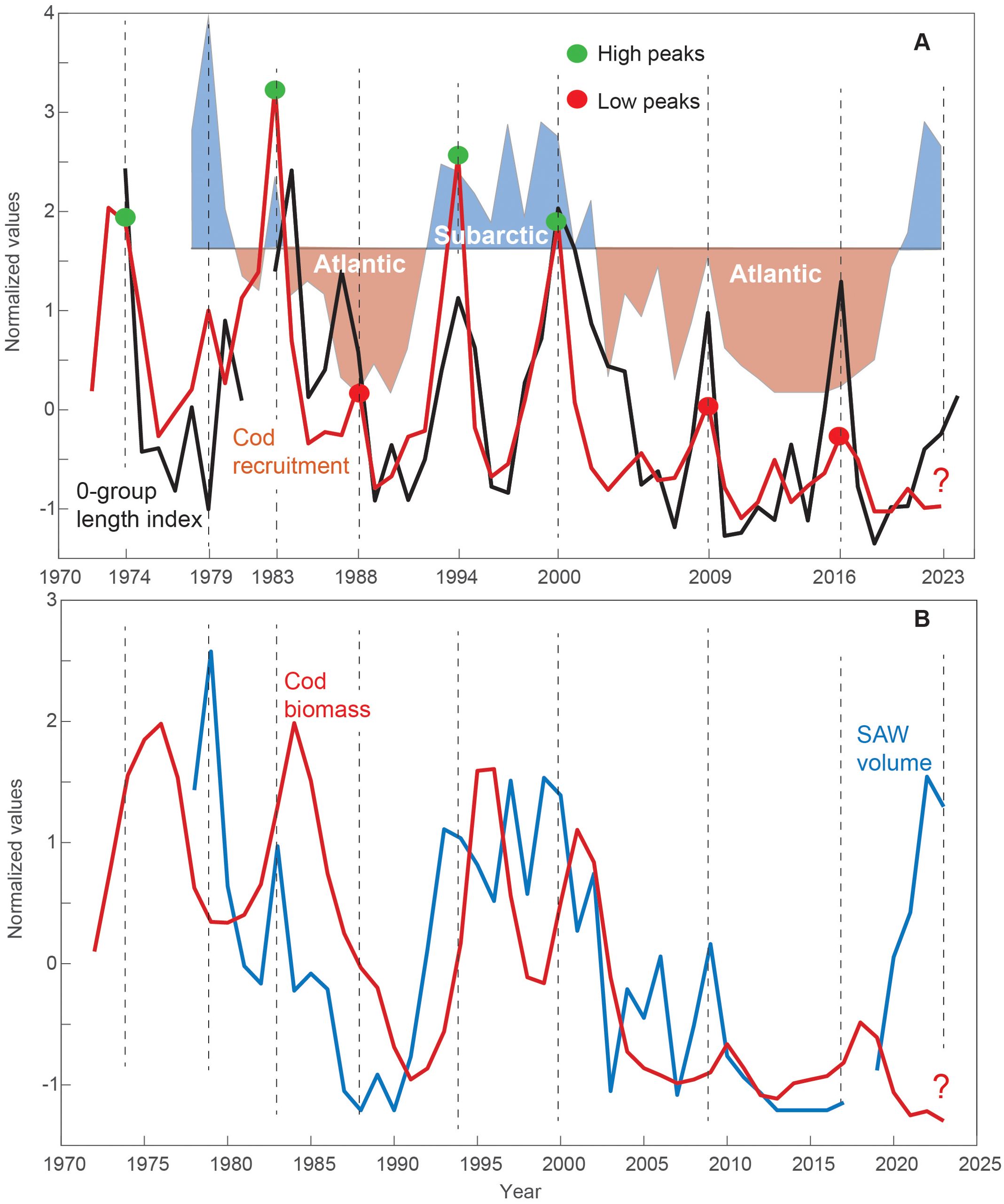 Two line graphs labeled A and B compare various metrics from 1970 to 2025. Graph A shows black and orange lines representing the 0-group length index and cod recruitment, with highlighted high and low peaks. Shaded areas indicate Atlantic and Subarctic regions. Graph B displays blue and orange lines for SAW volume and cod biomass, respectively. Both graphs use normalized values.