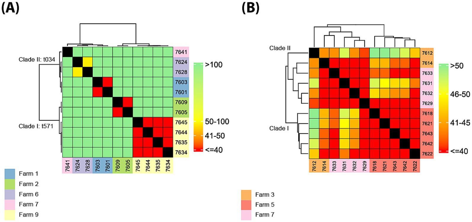 Two heatmaps (A and B) depict similarity matrices. Each map displays colored squares representing similarity scores between samples from different farms, with color gradients indicating similarity ranges. Clade I and II are labeled, with farm numbers associated with specific colors. Image A shows scores above one hundred, while B ranges from greater than fifty to below forty, with color scales indicating these ranges. Farm groupings are indicated in the legend.