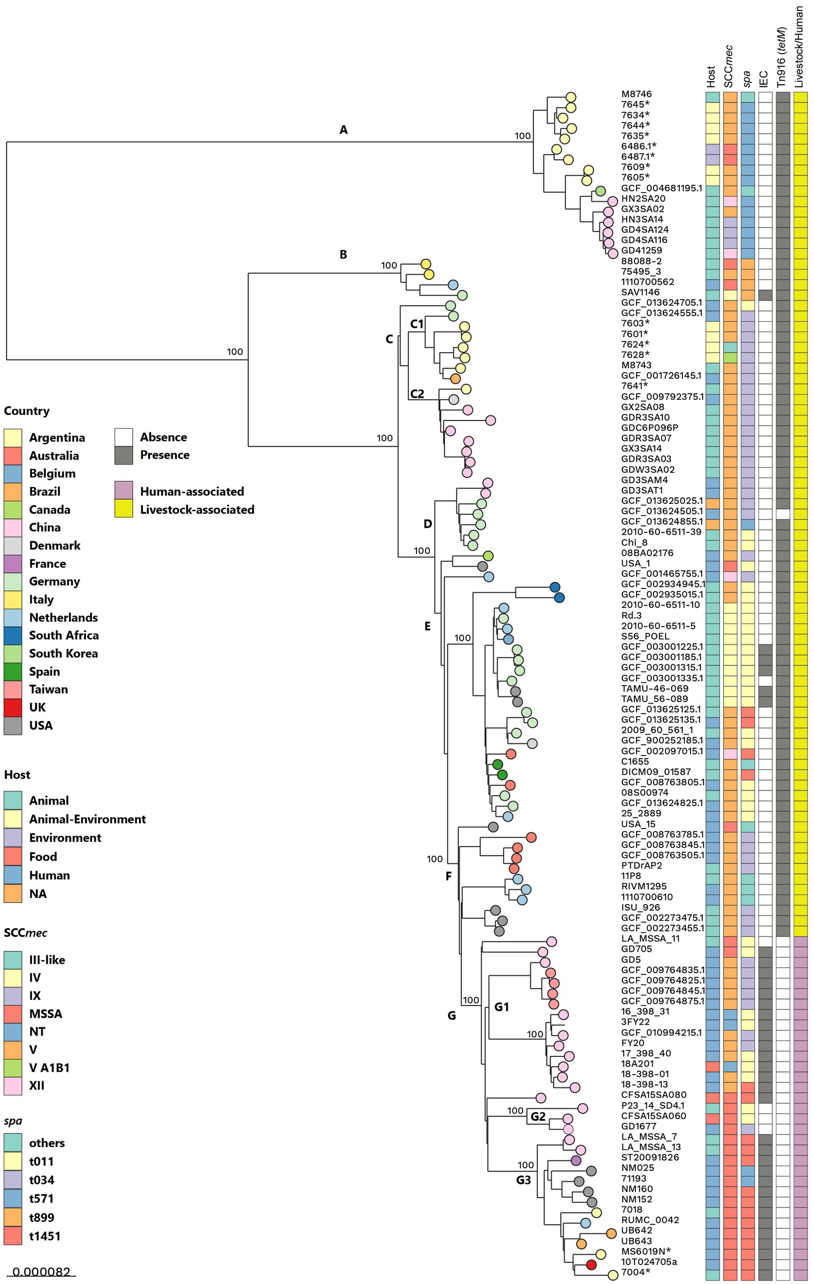 Phylogenetic tree showing genetic relationships among bacterial strains, labeled A to G3. Colored circles represent countries of origin and hosts, indicated by a legend. Columns on the right specify genetic and environmental characteristics. Countries are represented by colors like yellow for Argentina and red for Australia. Hosts categories include animal and human. Absence and presence of certain traits are marked by white and gray squares.