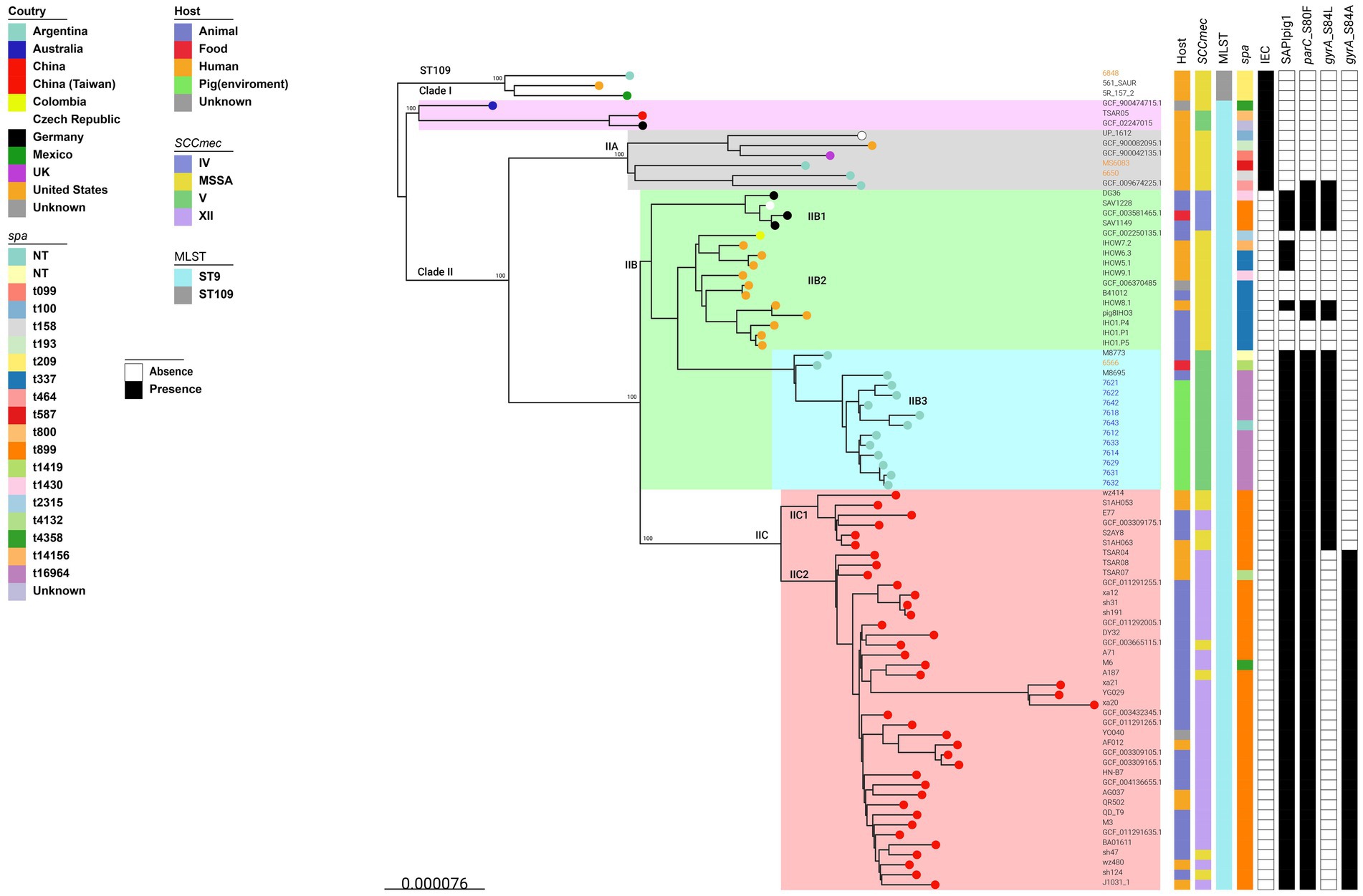 Phylogenetic tree showing the relationships between bacterial isolates from various countries, hosts, and identified by MLST and spa types. The tree is divided into clades and subclades, with color coding representing country, host, SCCmec type, and spa type. The tree features labels for Clade I and Clade II and subclades IIA, IIB, IIC, along with their subdivisions. Horizontal bars on the right indicate the presence or absence of certain genetic elements. A scale bar at the bottom represents genetic distance.