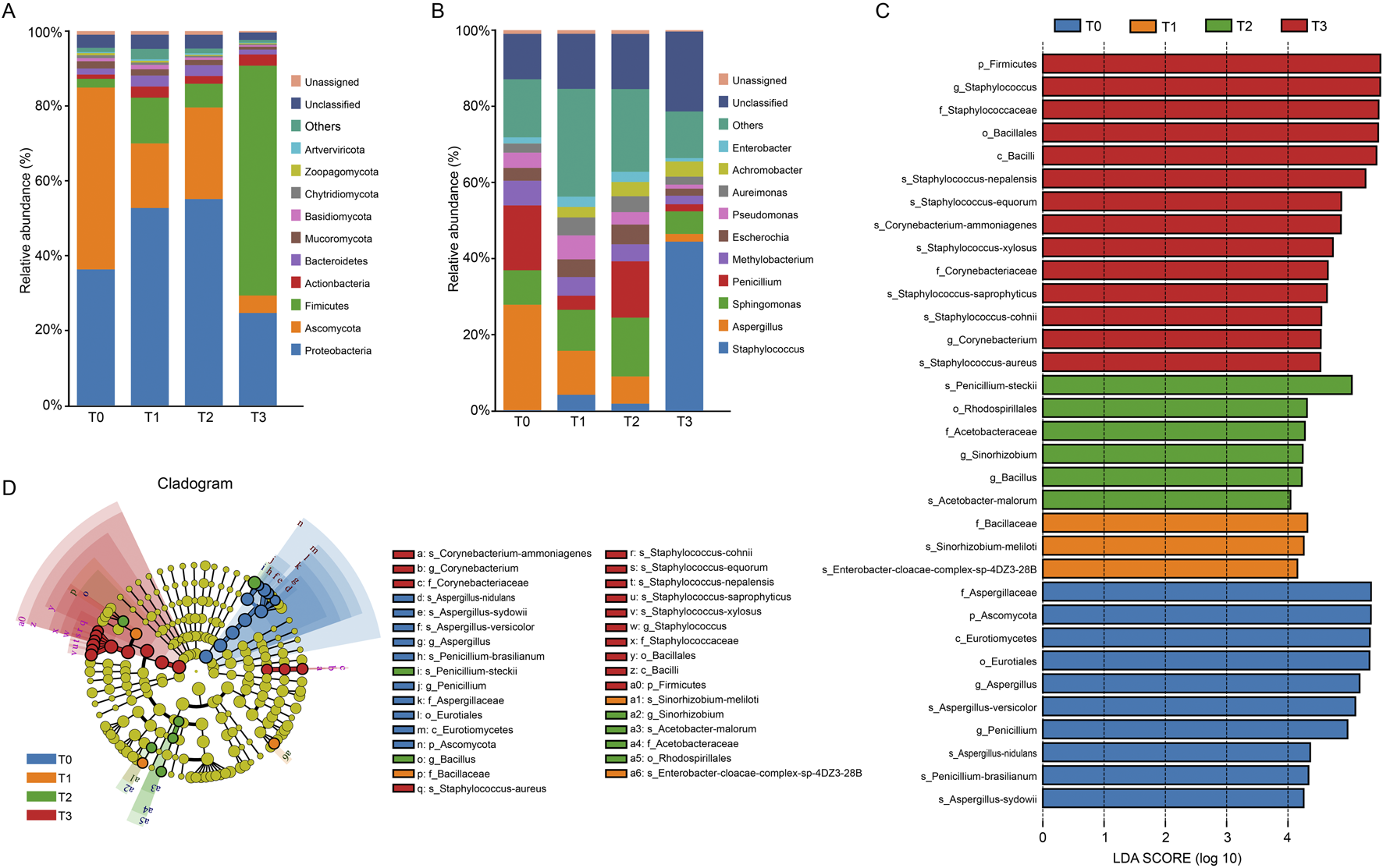 Bar charts A and B depict relative abundances of various microbial groups at different time points (T0, T1, T2, T3). Chart C shows LDA scores for microbial taxa across these time points, highlighting taxonomic changes. The cladogram D visualizes phylogenetic relationships among significant taxa, color-coded by time points.