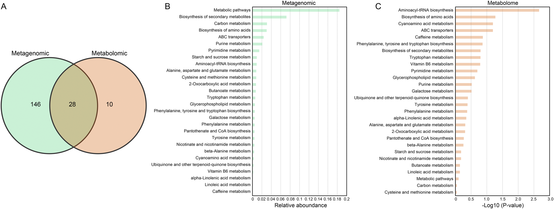 Venn diagram and bar charts comparing metagenomic and metabolomic data. Panel A shows overlapping and unique features: 146 unique to metagenomics, 10 to metabolomics, and 28 shared. Panel B lists pathways with relative abundance in metagenomics. Panel C shows pathways with -log10(p-value) significance in metabolomics.