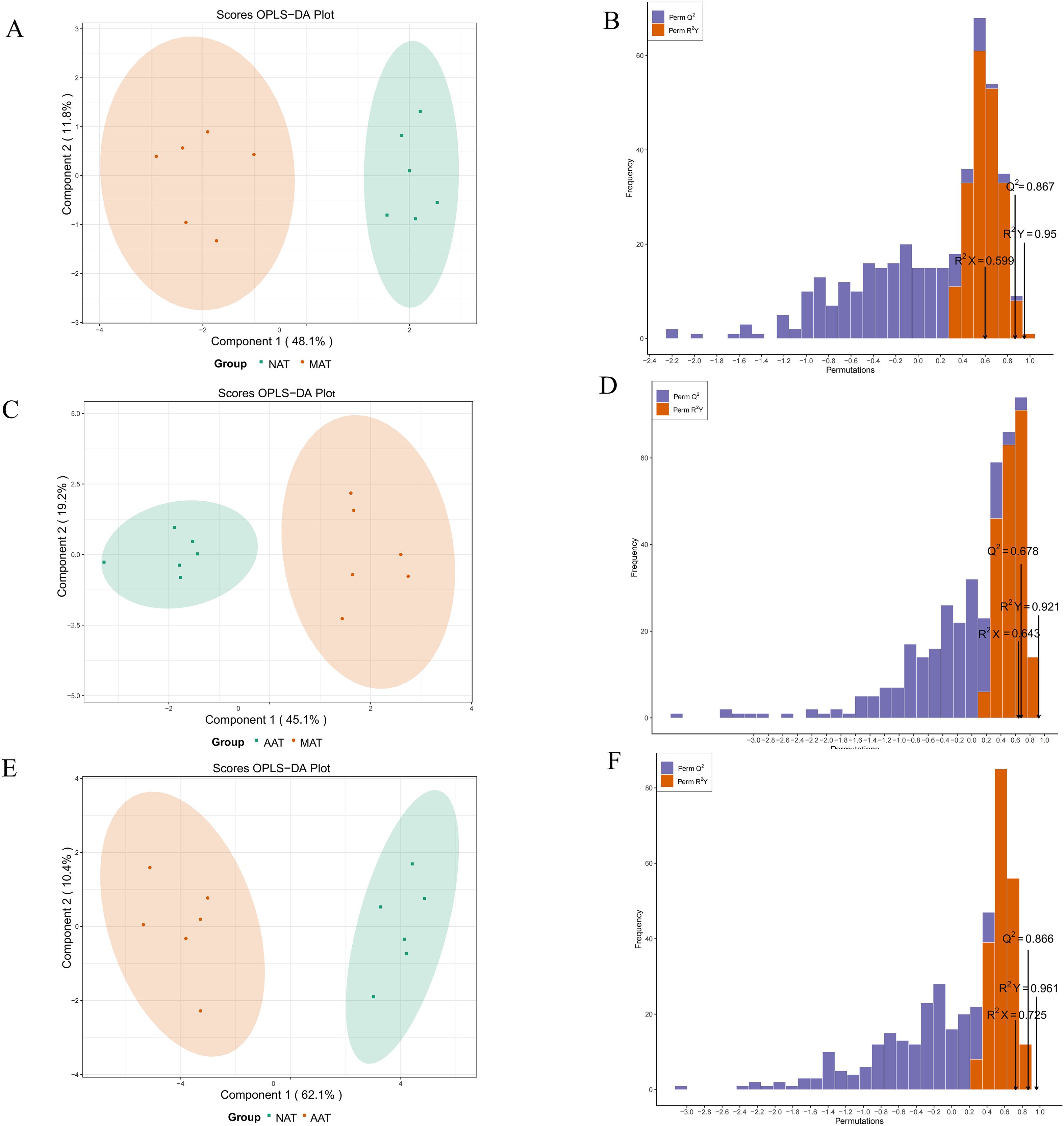 Image features six panels with statistical plots. Panels A, C, and E display OPLS-DA plots with two groups distinguished by color, showing component variances. Panels B, D, and F present permutation tests as bar graphs, depicting frequency and permutation values with metrics Q², R²Y, and R²X indicated.