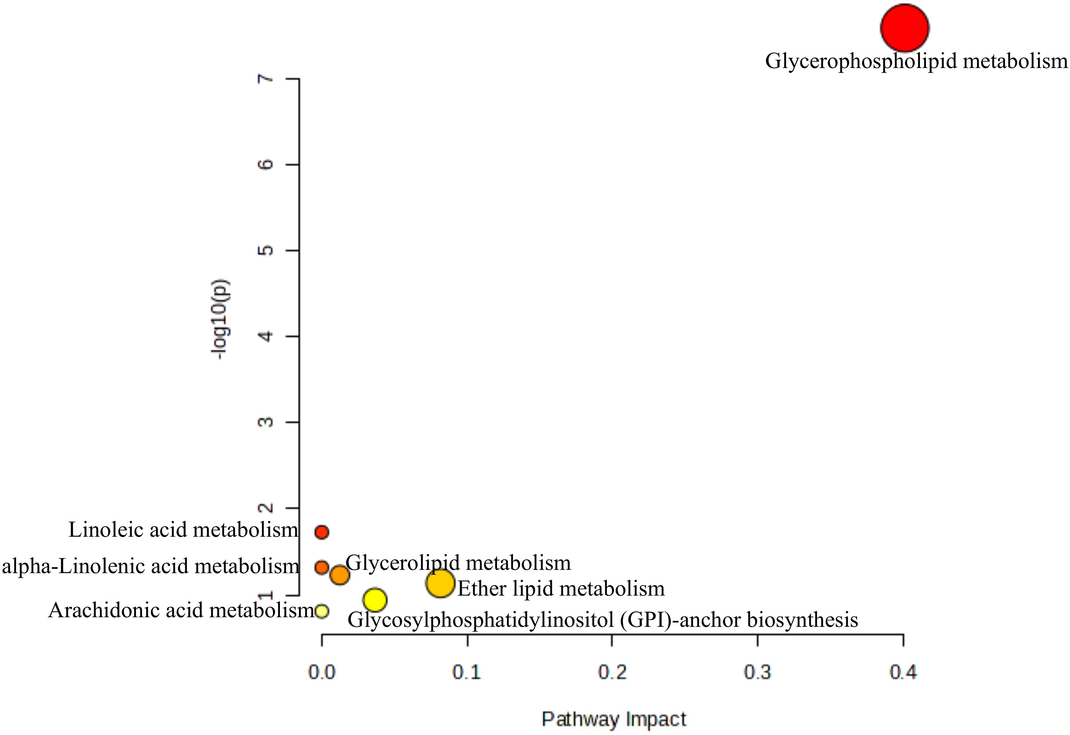Scatter plot depicting various metabolic pathways with axes labeled as -log10(p) and Pathway Impact. Key pathways include glycerophospholipid metabolism, highlighted at the top with the largest impact, and others like glycerolipid and ether lipid metabolism plotted below.