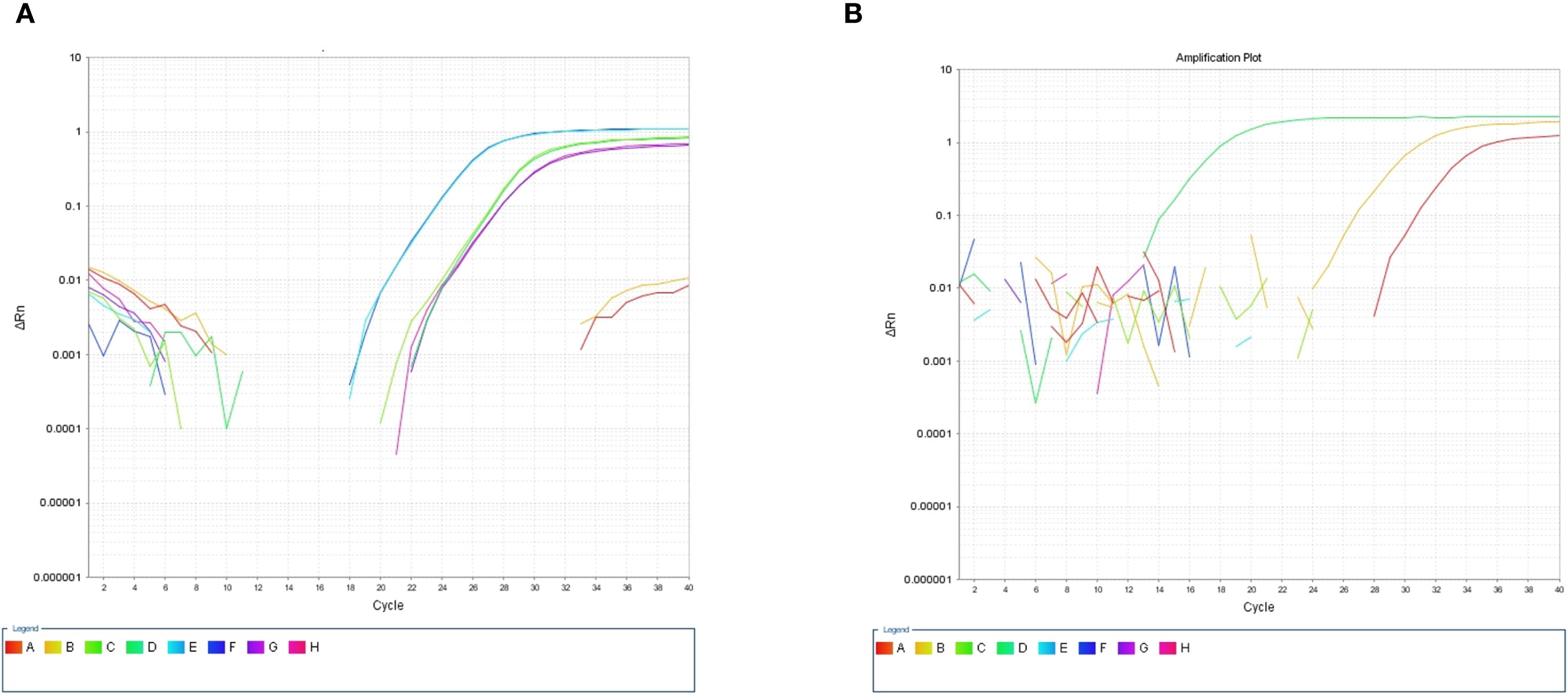 Two line graphs labeled A and B depict amplification plots. Graph A shows multiple colored lines representing different reactions with fluorescence increasing significantly after cycle 20. Graph B shows more variability with an increase observed after cycle 25. The x-axis is labeled “Cycle” and the y-axis is labeled “ΔRn”. A color legend is provided at the bottom, indicating colors associated with samples A through H.