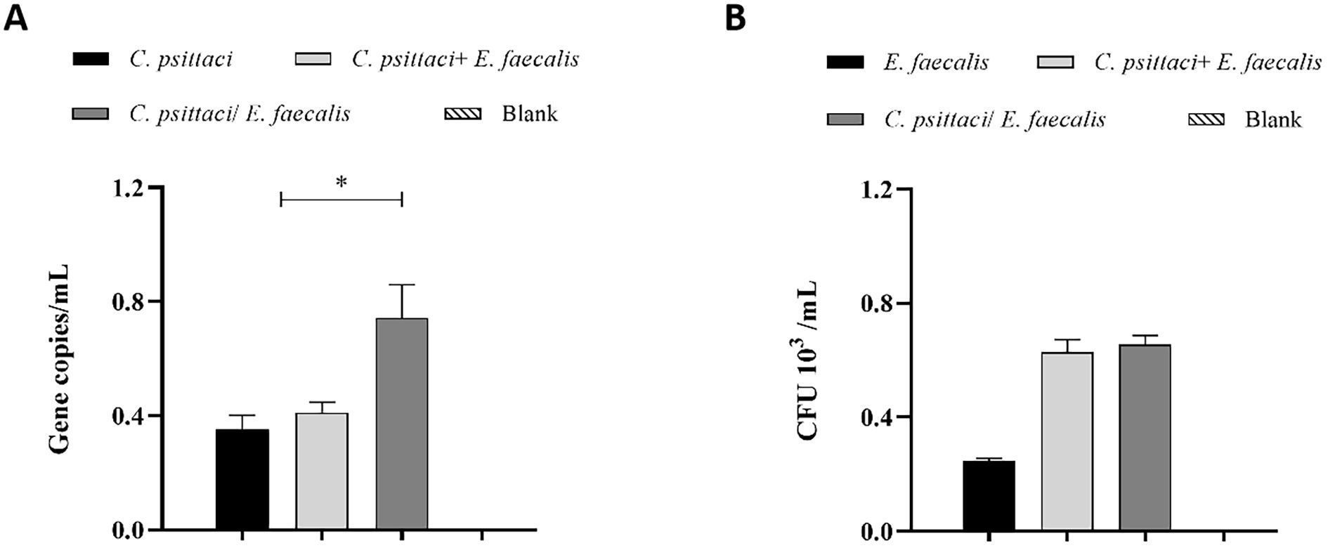 Bar charts comparing gene copies per milliliter and CFU per milliliter across four groups: *C. psittaci*, *E. faecalis*, *C. psittaci* + *E. faecalis*, and blank. The left chart shows *C. psittaci* and *E. faecalis* with increased gene copies. The right chart shows higher CFU values for combined groups compared to *C. psittaci* alone.