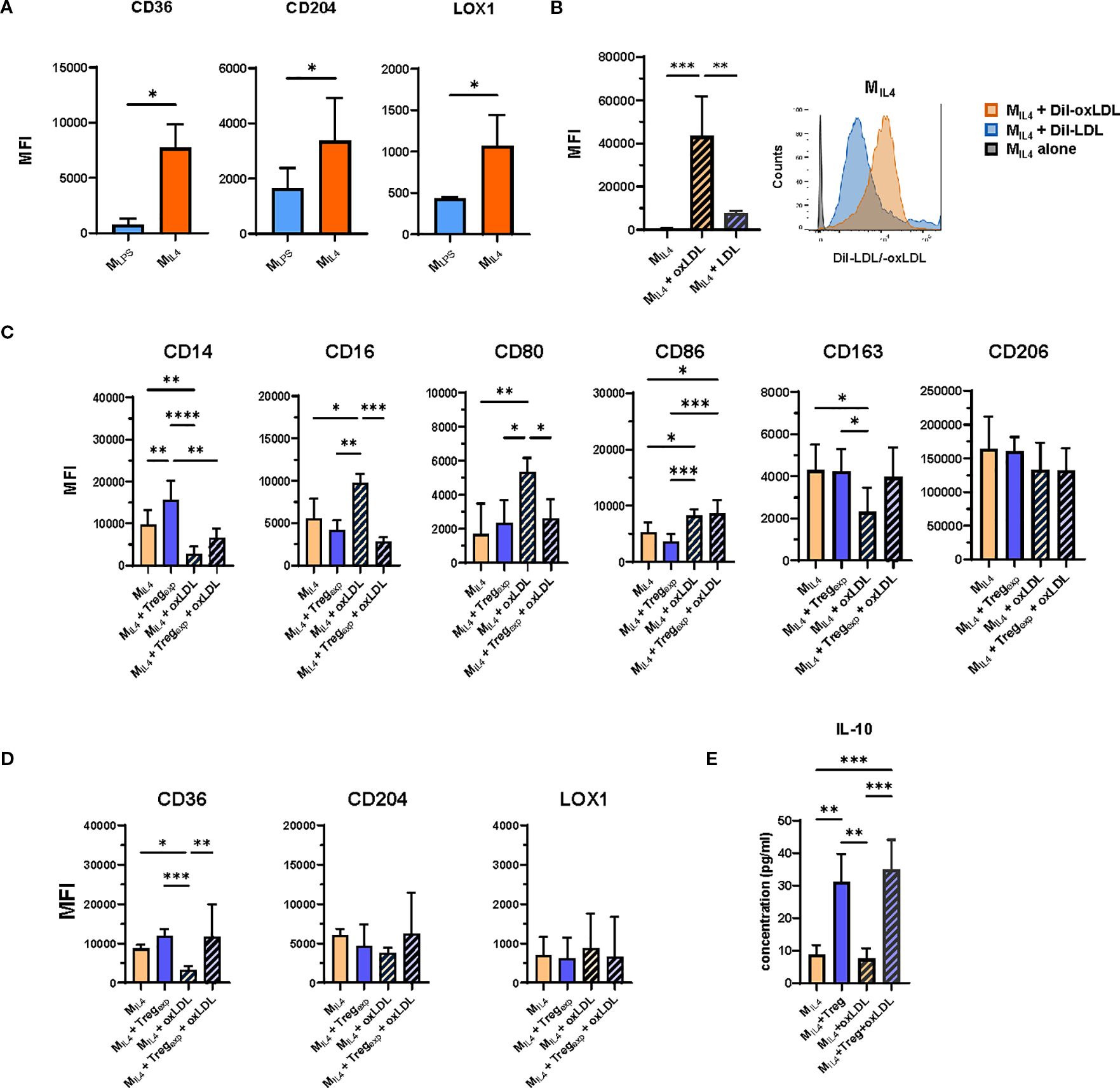 Flow cytometry analysis of oxLDL effects on MIL4 and MLPS. (A) Expression changes in CD36, CD204, and LOX1 after oxLDL treatment. (B) Uptake of Dil-oxLDL vs. Dil-LDL in MIL4. (C) Impact of Tregs on MIL4 M2-like marker expression with/without oxLDL. (D) Expression of oxLDL receptors in MIL4 with Treg coculture. (E) IL-10 levels in MIL4 supernatants under different conditions. Data shown as mean fluorescence intensity ± SD from multiple independent experiments. Statistical analysis via one-way ANOVA.