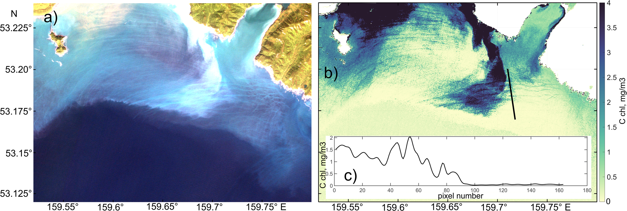 Two images and a graph showing the distribution of various variables in the coastal zone of the Avacha Bay. Image (a) depicts a satellite view of a coastal area in the visible range of the optical spectrum with Nonlinear Internal Wave manifestations. Image (b) shows chlorophyll concentration with a color scale from light blue to dark where Nonlinear Internal Wave manifestations are also visible. The graph (c) illustrates distribution of chlorophyll concentration (mg/m3) versus pixel number along the line showed on image (b).