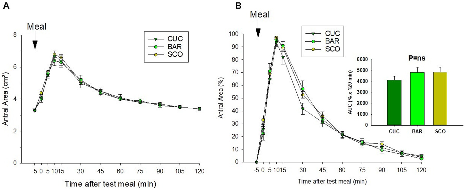 Graphs A and B show the antral area over time after a test meal, comparing CUC, BAR, and SCO treatments. Graph A presents area in square centimeters, Graph B in percentage. Both show an increase post-meal, then a gradual decline. An inset bar chart shows that the AUC for all treatments is similar, with no significant differences.