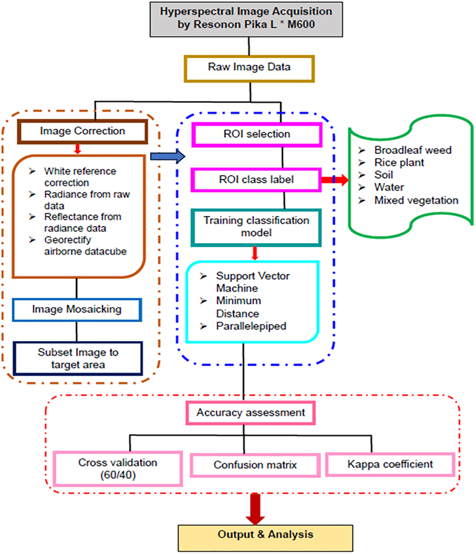 Flowchart illustrating hyperspectral image processing and analysis. Starts with raw image data acquisition by Resonon Pika L*M600. Steps include image correction (white reference correction, radiance, reflectance, georectifying), image mosaicking, and ROI selection/classification (support vector machine, minimum distance, parallelepiped). Class labels include broadleaf weed, rice plant, soil, water, and mixed vegetation. Accuracy assessment uses cross-validation, confusion matrix, and Kappa coefficient, leading to output and analysis.