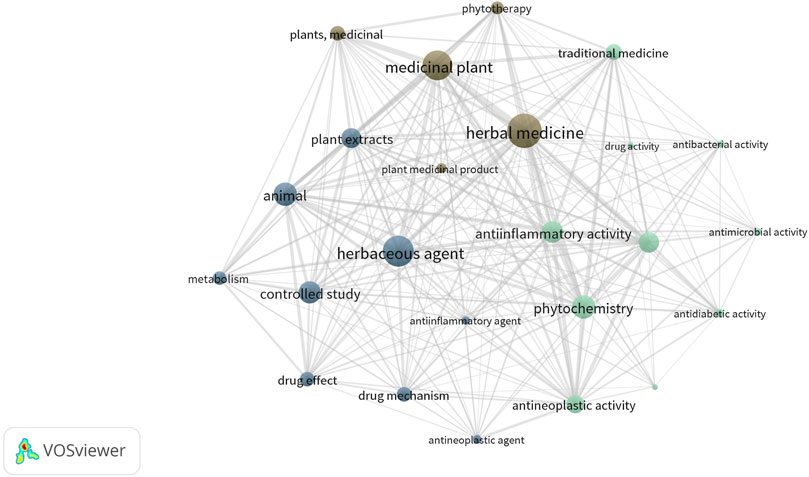 Network visualization map created with VOSviewer showing clusters of related terms in herbal medicine research. Terms like