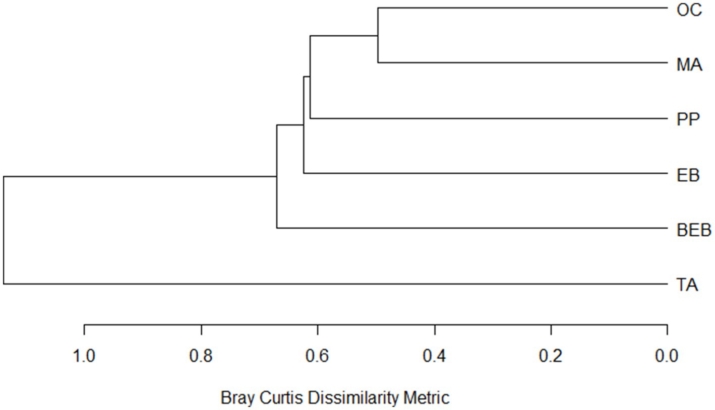 A dendrogram illustrating hierarchical clustering using the Bray-Curtis dissimilarity metric. The horizontal axis represents the dissimilarity scale from zero to one. The clusters, labeled OC, MA, PP, EB, BEB, and TA, are arranged along the vertical axis, showing their similarity relationships.
