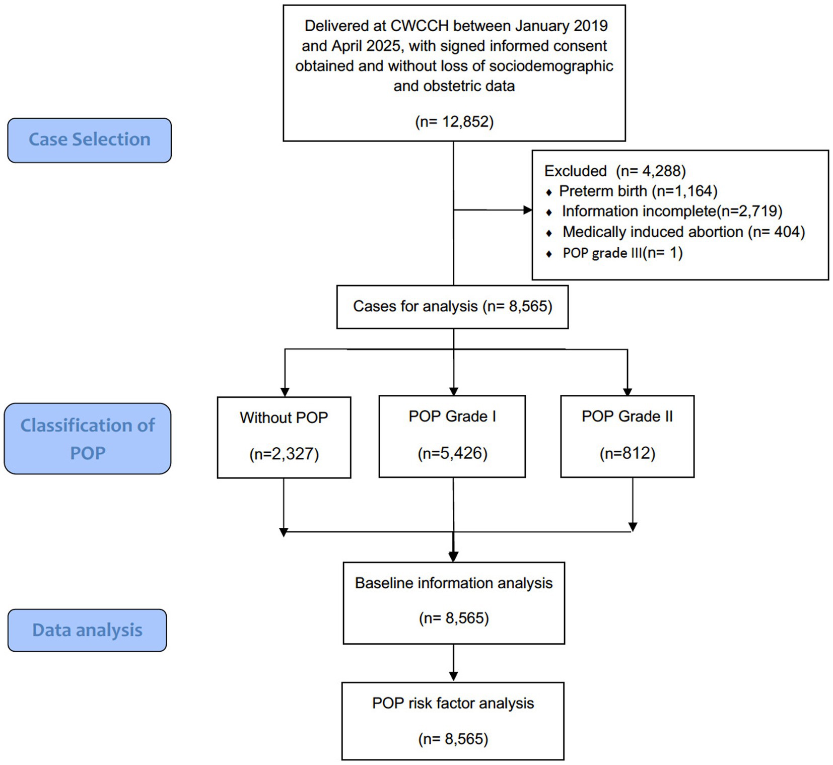 Flowchart depicting the selection and classification of cases for analysis at CWCCH between January 2019 and April 2025. Out of 12,852 cases, 4,288 were excluded due to factors like preterm birth, incomplete information, medically induced abortion, and POP grade III. The remaining 8,565 cases were categorized into groups: Without POP (2,327 cases), POP Grade I (5,426 cases), and POP Grade II (812 cases). These cases underwent baseline information and POP risk factor analyses. The chart is organized into sections labeled Case Selection, Classification of POP, and Data Analysis.