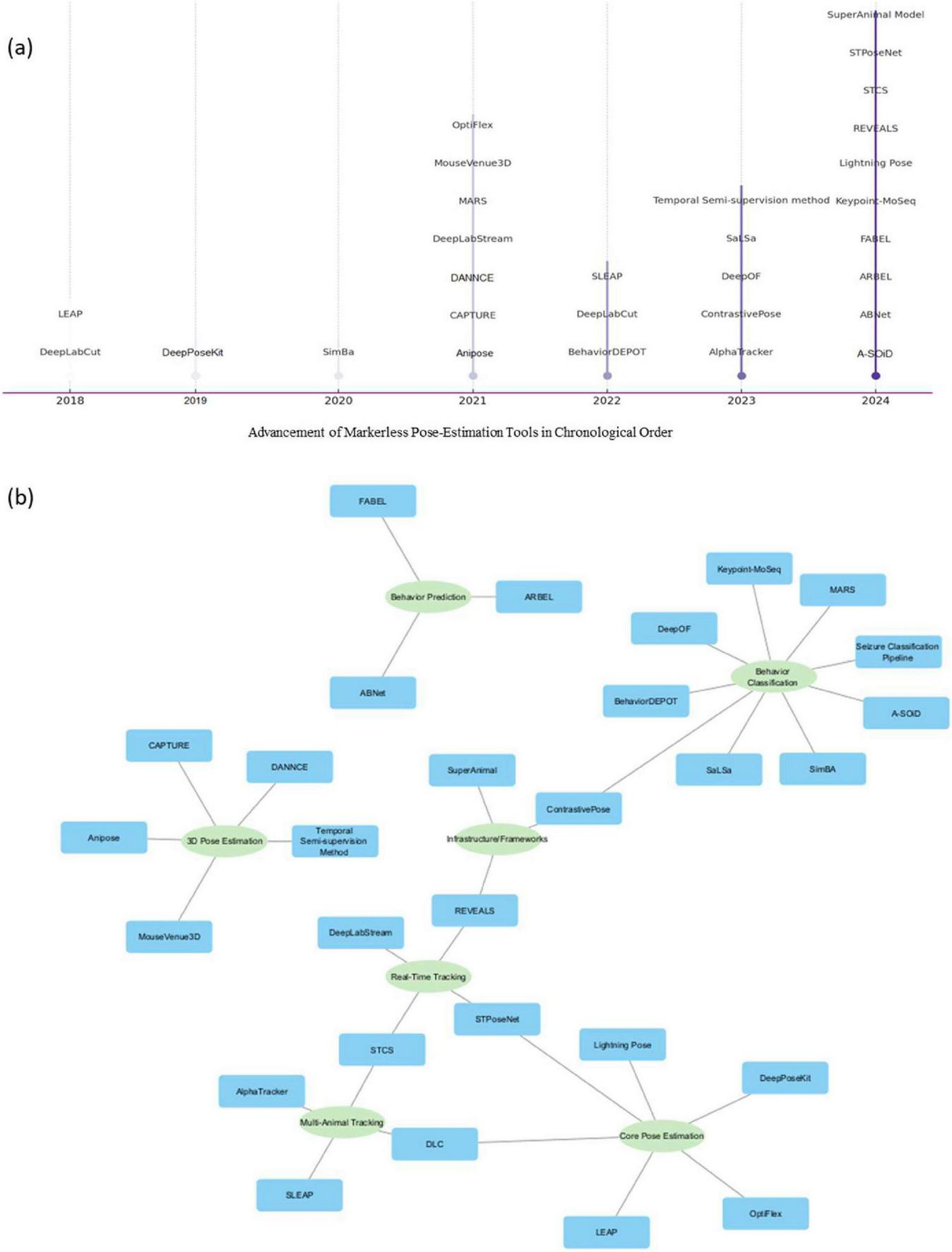 “(a) Timeline showing the chronological advancement of markerless pose-estimation tools from 2018 to 2024, listing various tools such as LEAP, DeepLabCut, and A-SDID. (b) Diagram depicting relationships between pose-estimation tools and categories like behavior prediction, real-time tracking, and multi-animal tracking. Tools include FABEL, SLEAP, DeepLabStream, and others.”